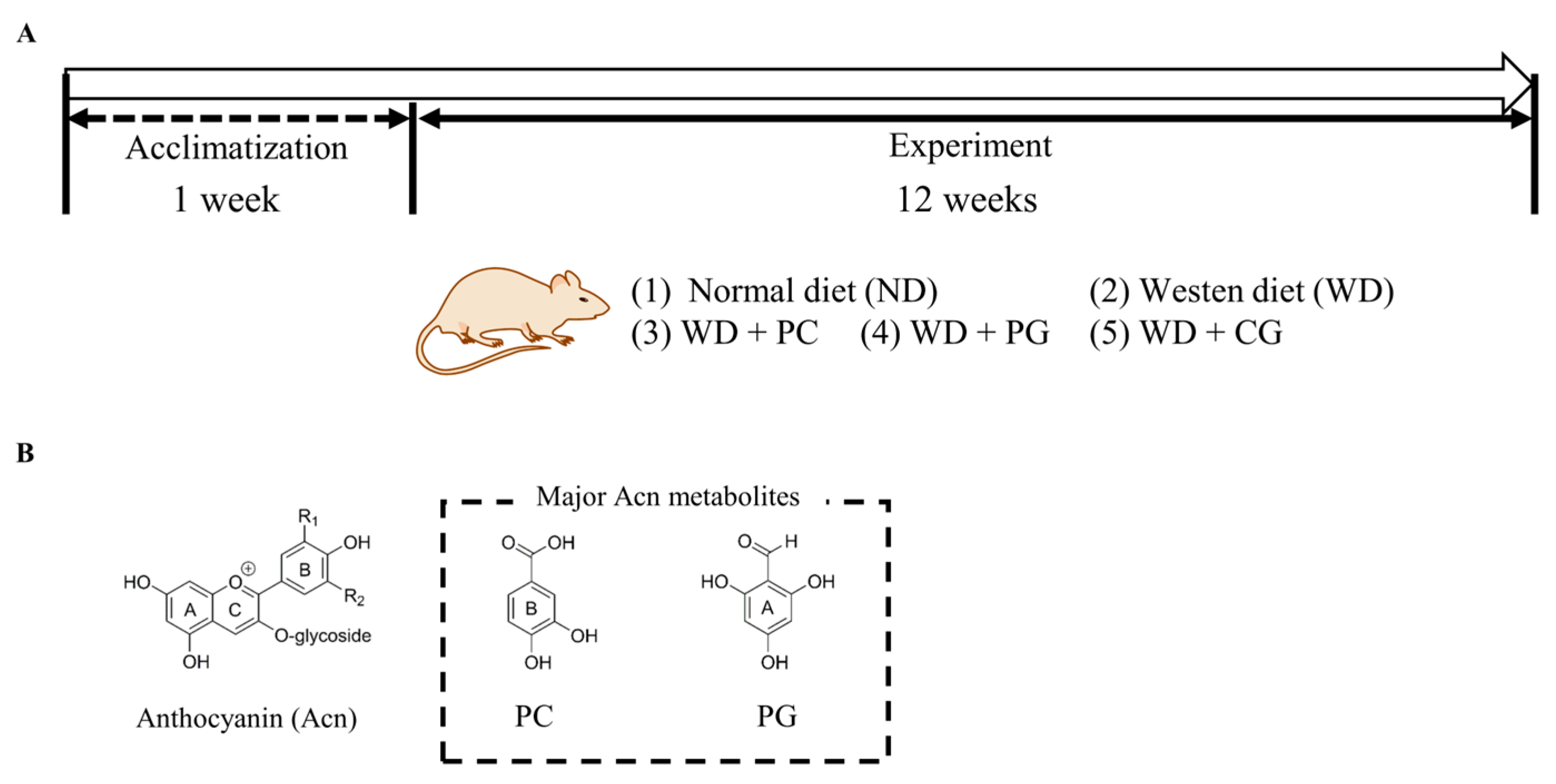 Microorganisms 11 02408 g001