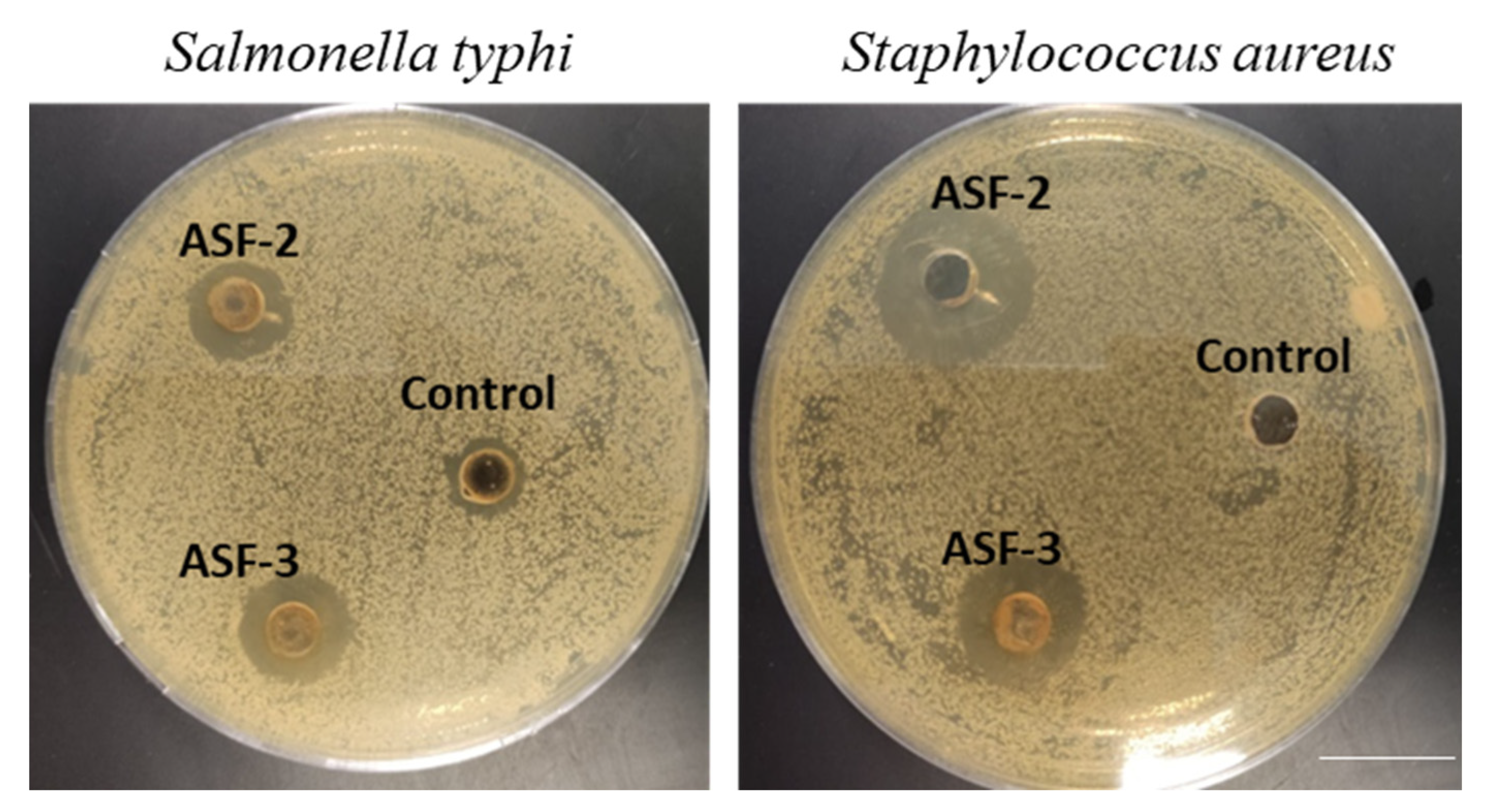 Microorganisms 11 02415 g002
