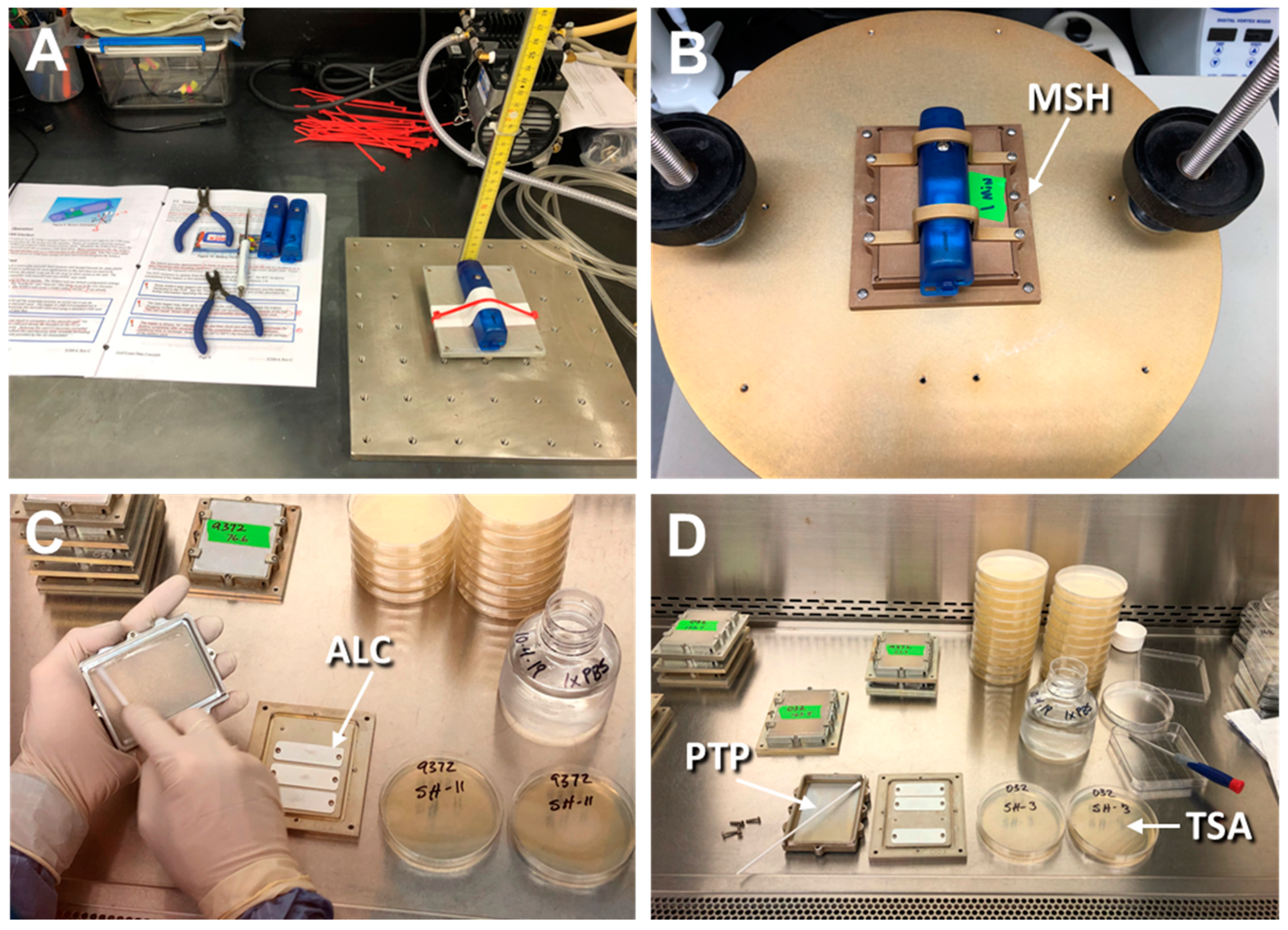 Microorganisms 11 02421 g003
