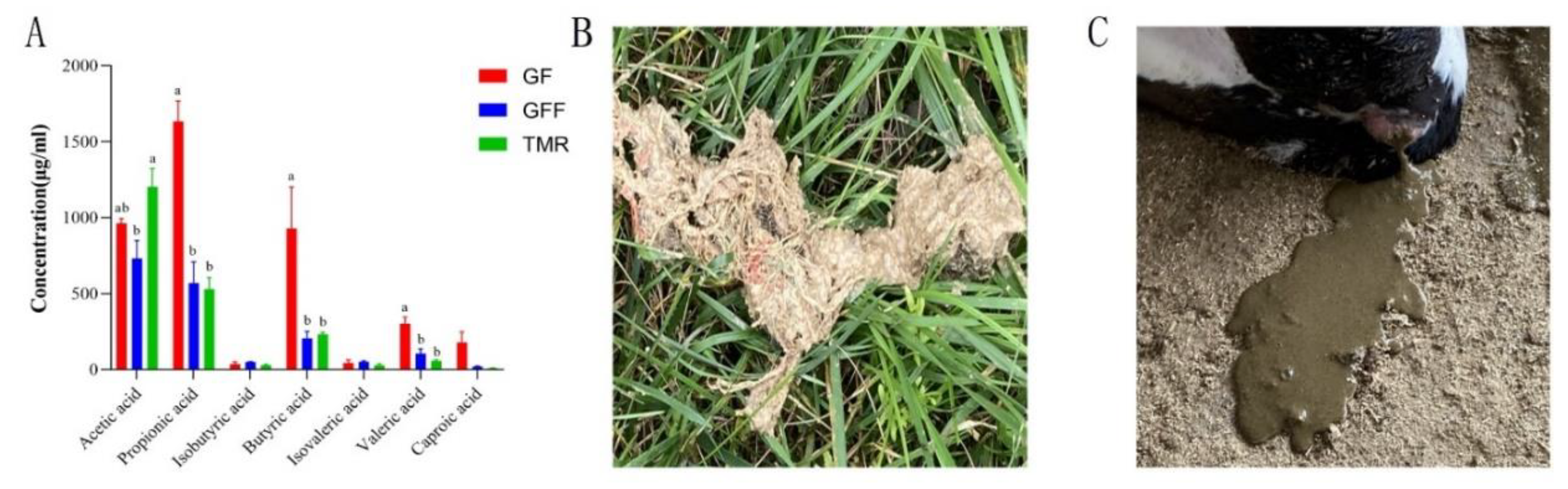 Microorganisms 11 02423 g001 Microorganisms 11 02423 g001