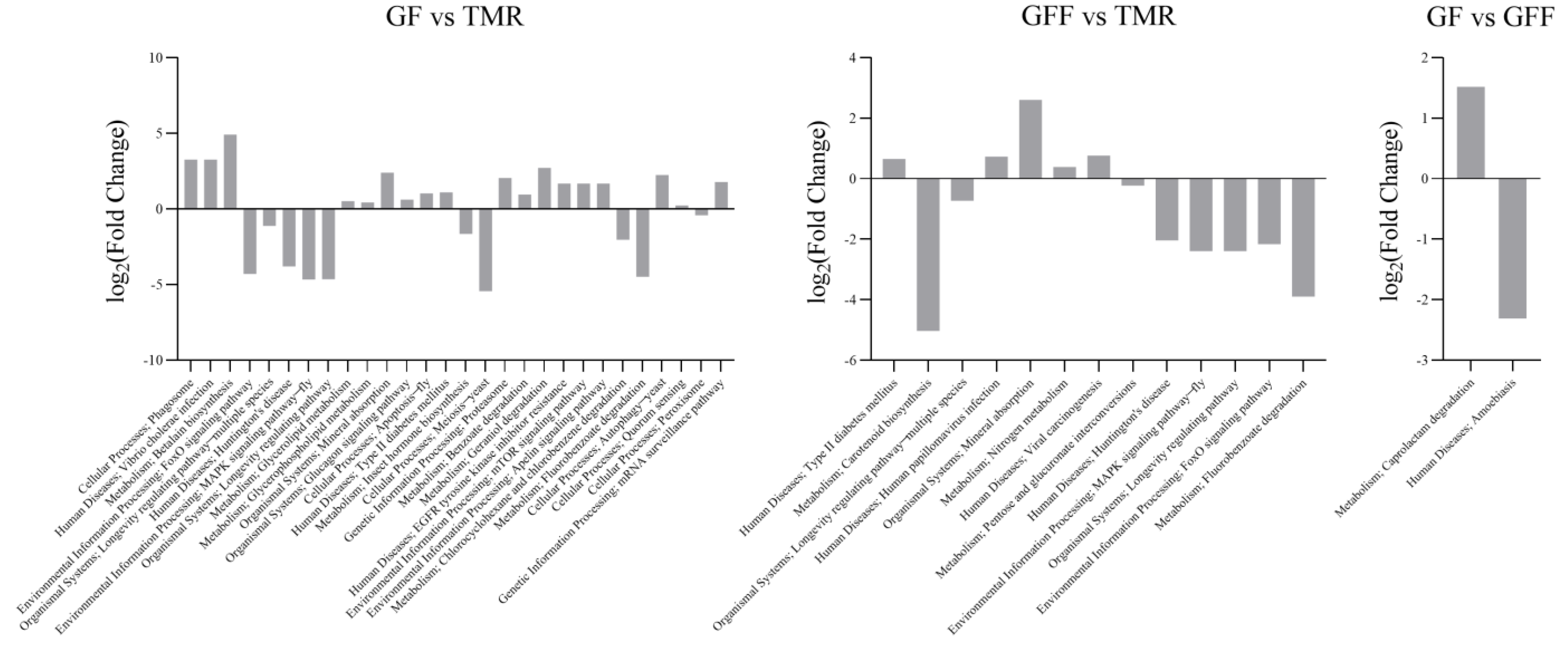Microorganisms 11 02423 g003 Microorganisms 11 02423 g003