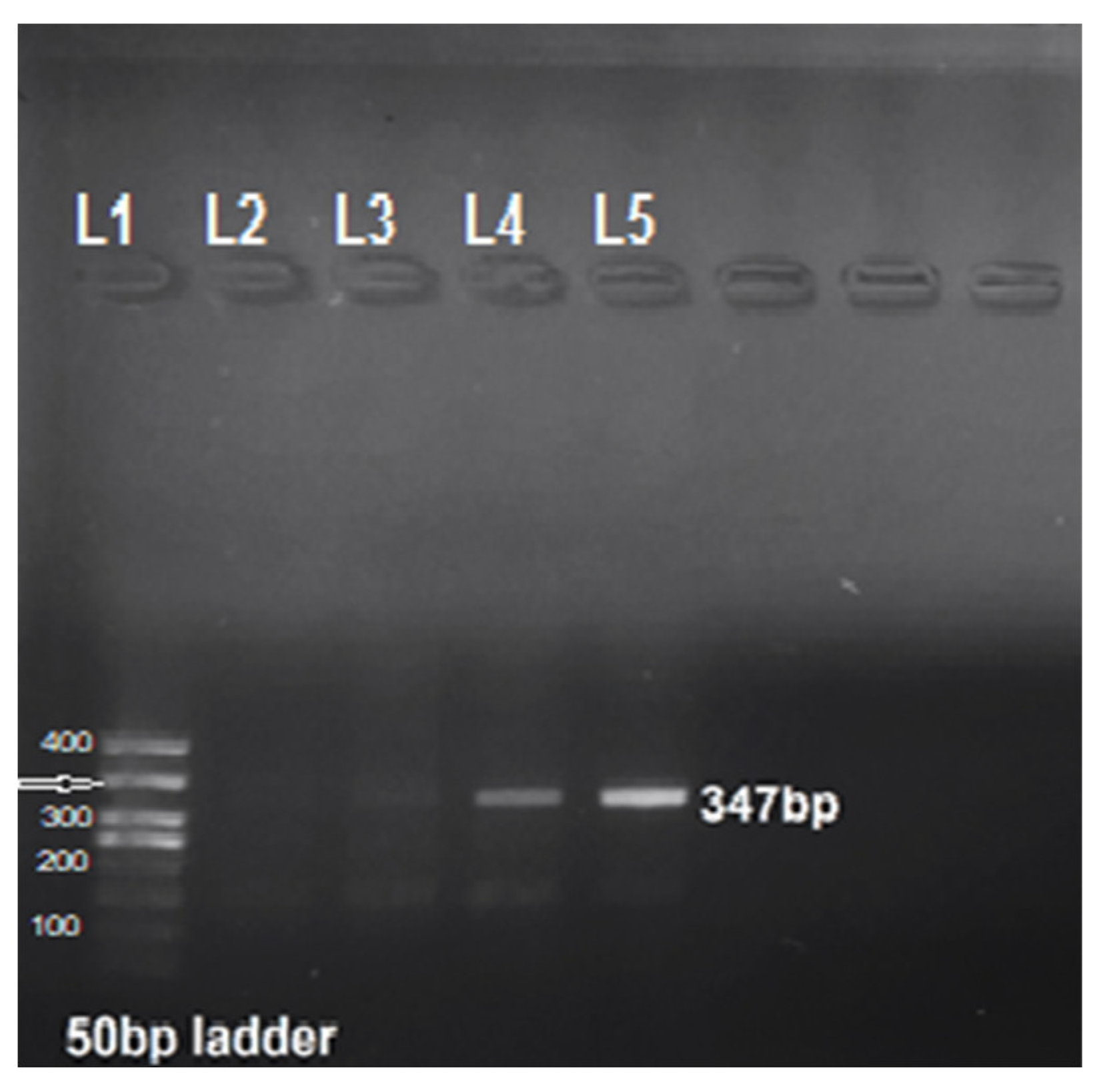 Microorganisms 11 02430 g002 Microorganisms 11 02430 g002