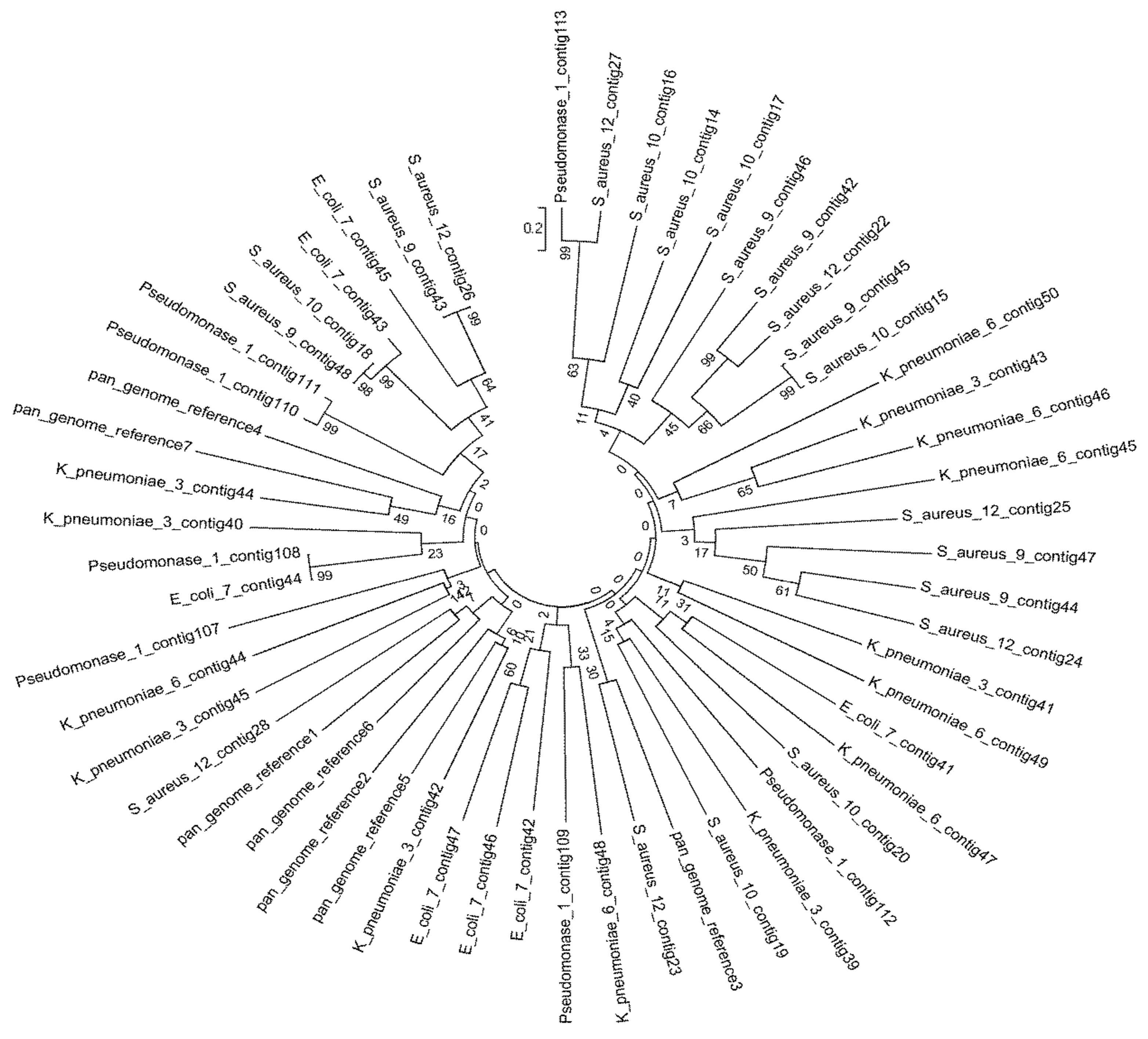 Microorganisms 11 02432 g002