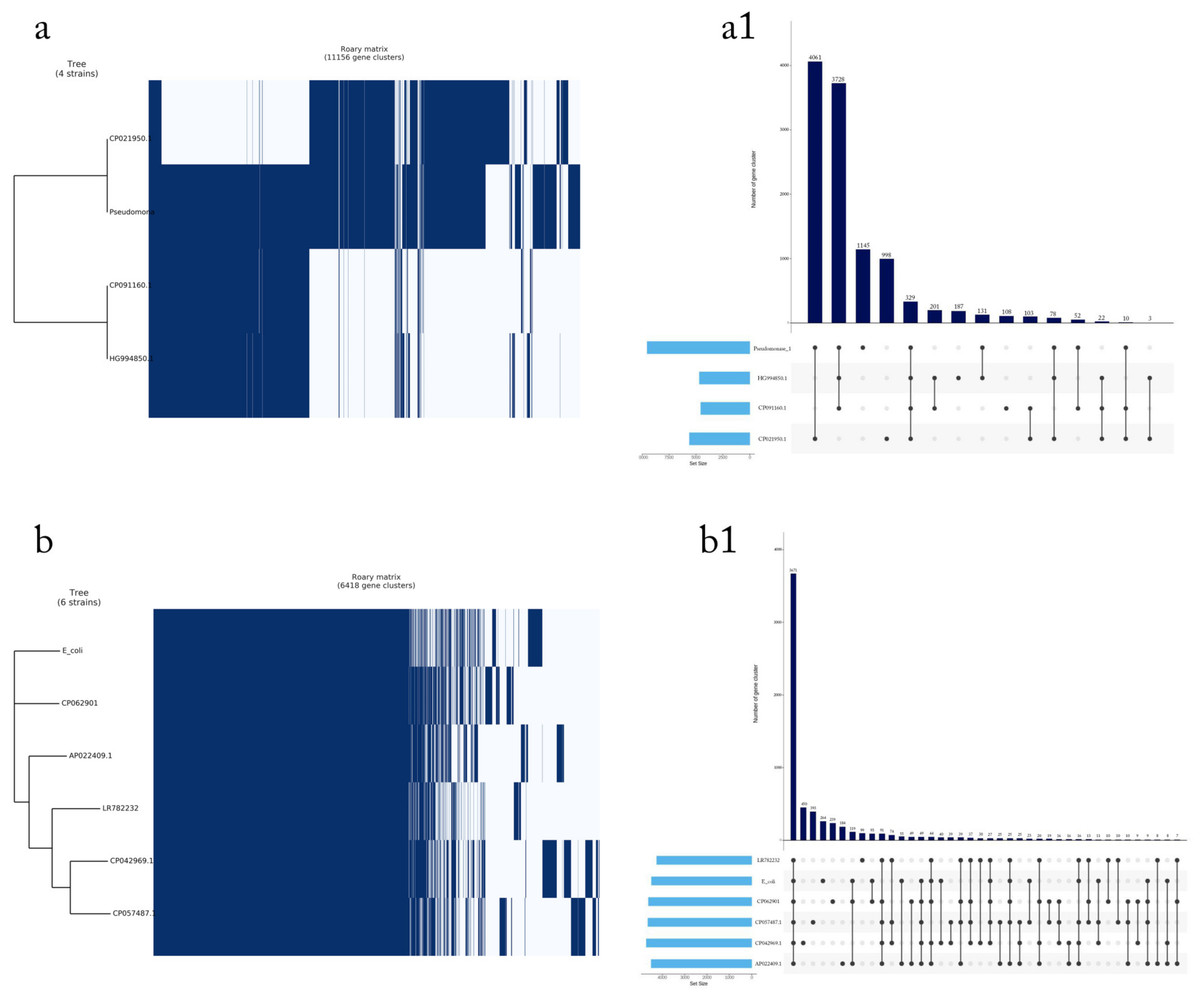 Microorganisms 11 02432 g004a