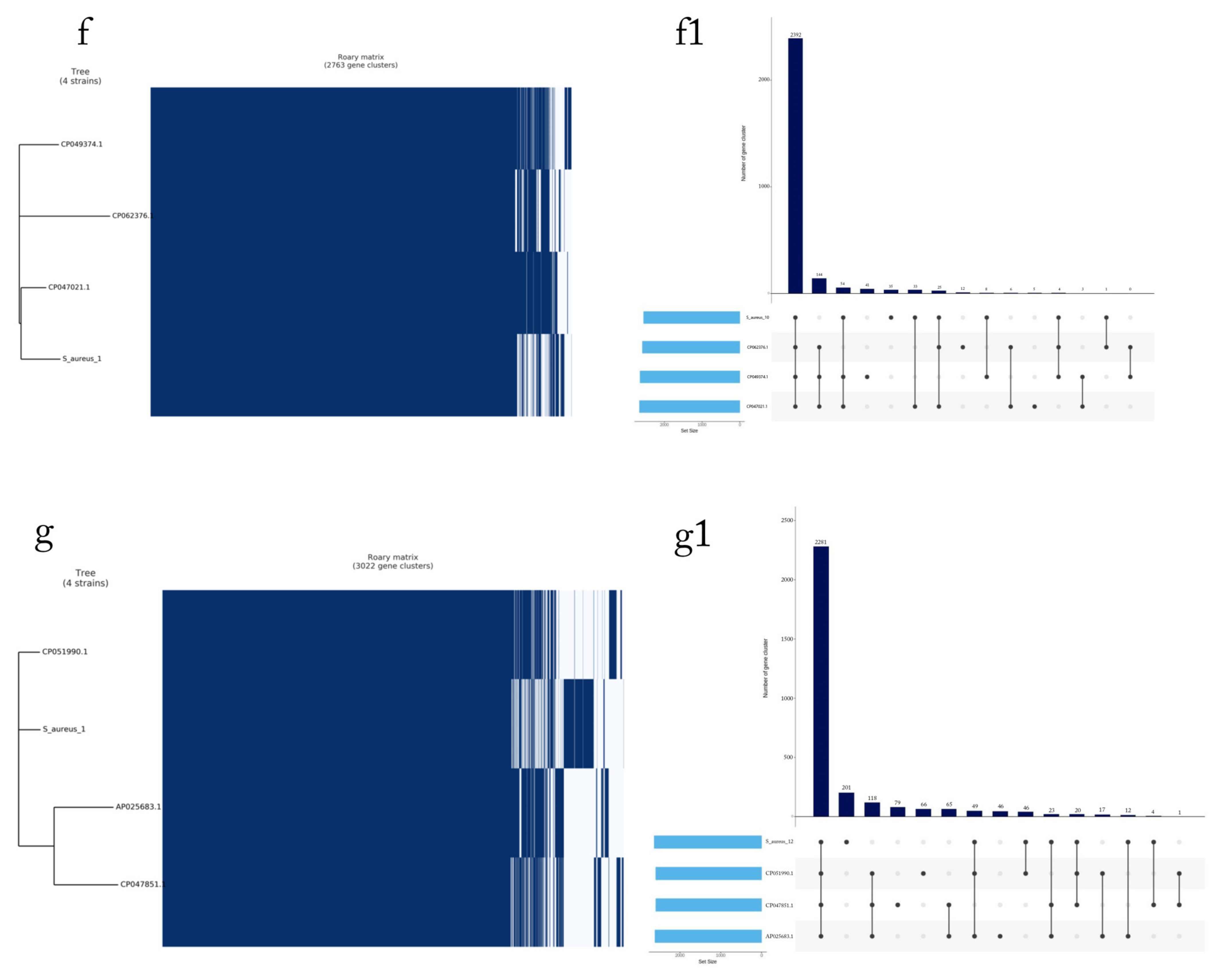 Microorganisms 11 02432 g004c