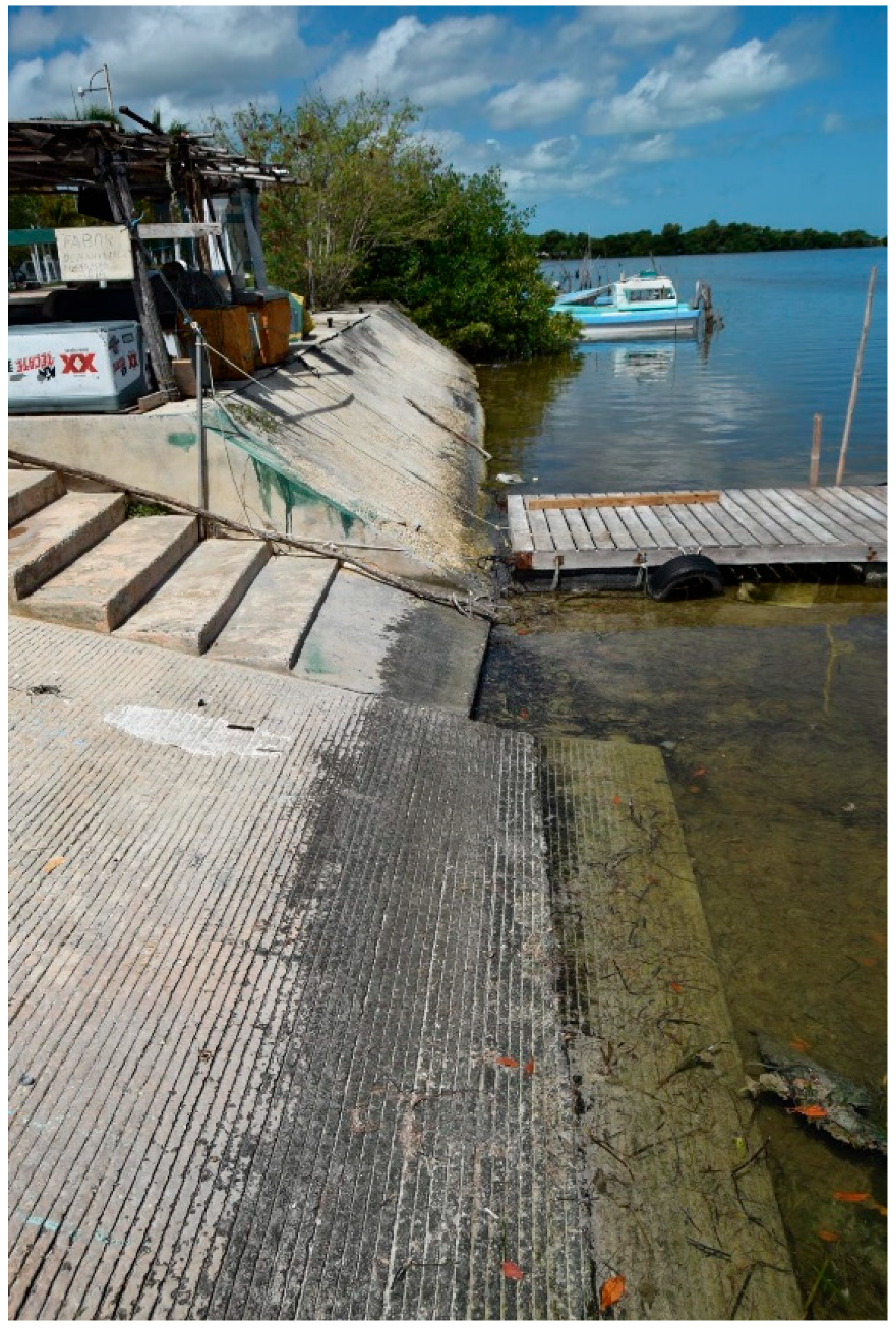 Microorganisms 11 02438 g001