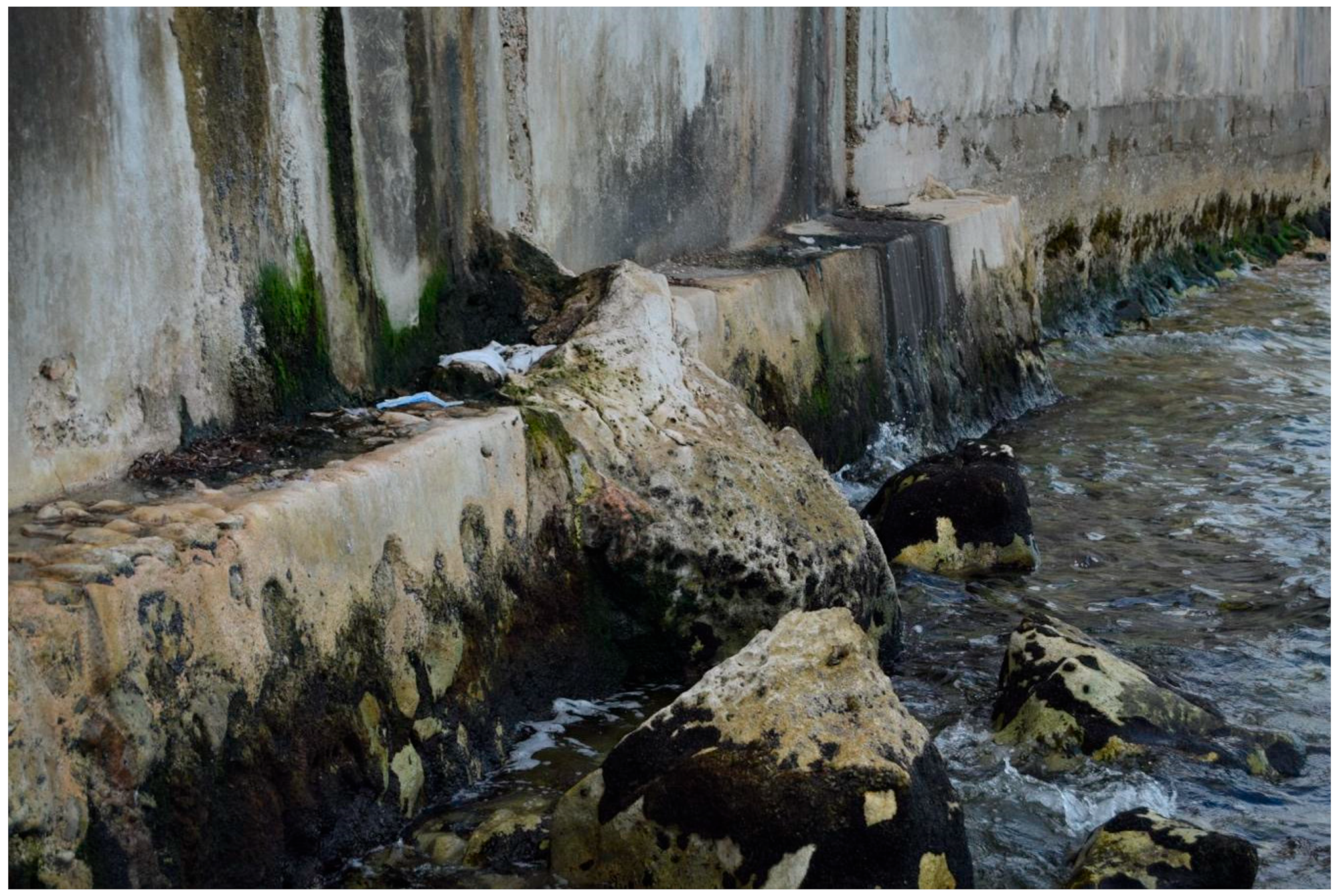 Microorganisms 11 02438 g002