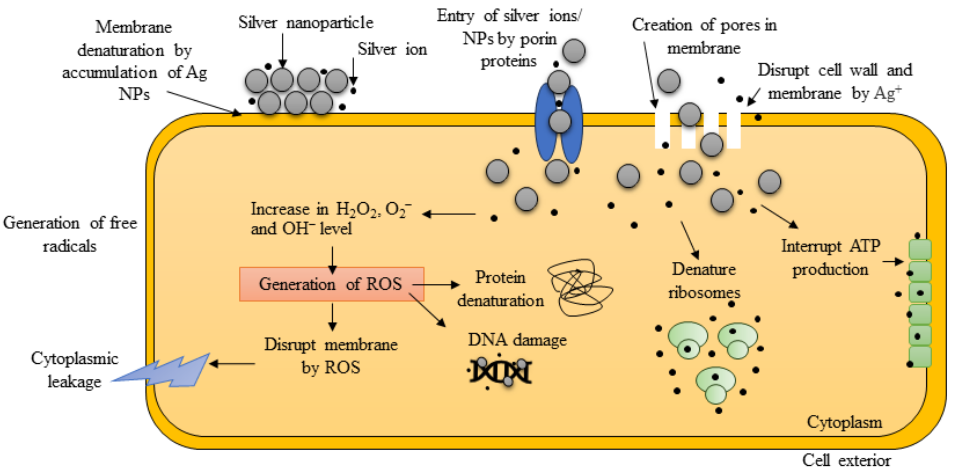 Microorganisms 11 02439 g001