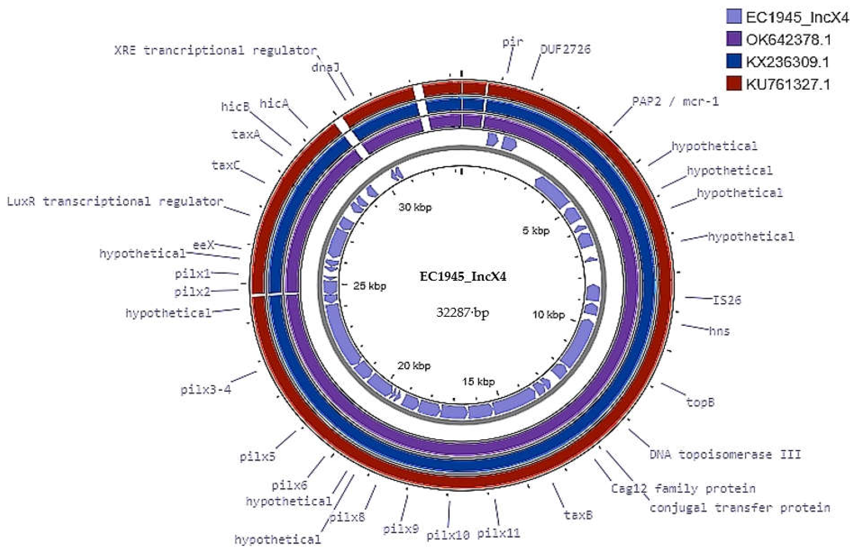 First Report and Characterization of the mcr-1 Positive Multidrug ...