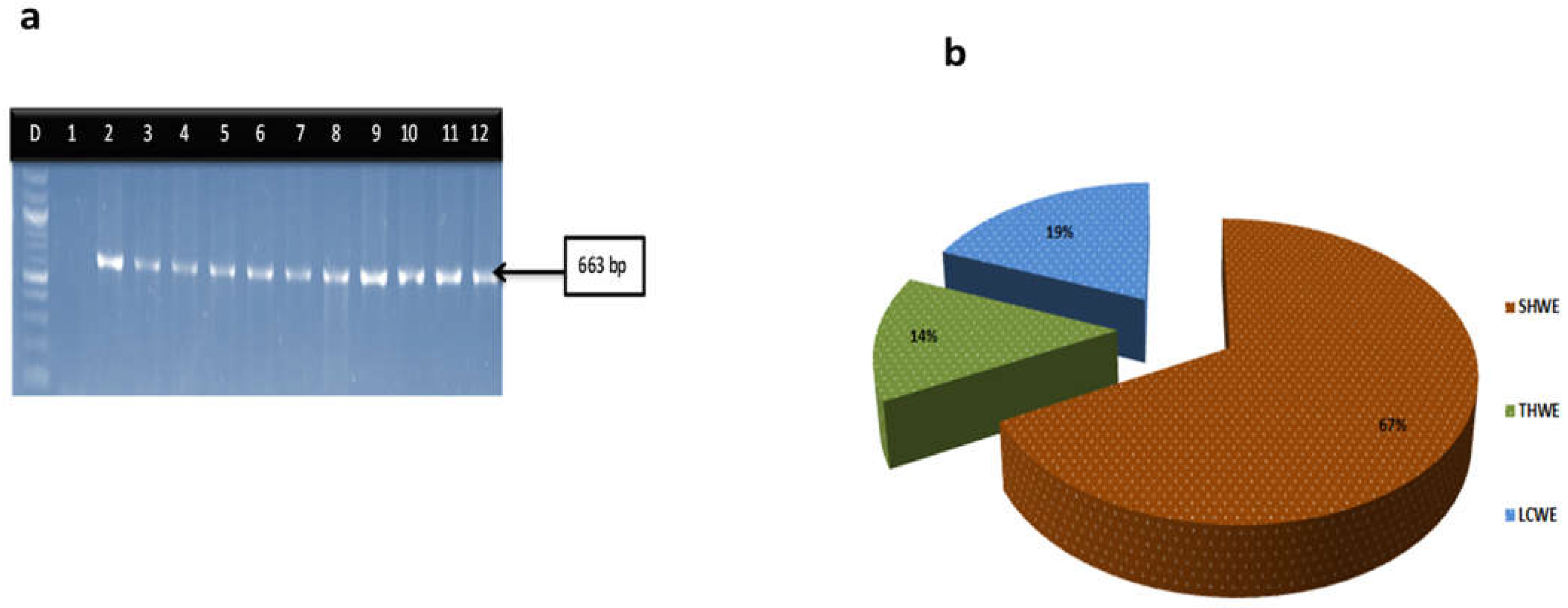 Microorganisms 11 02449 g001