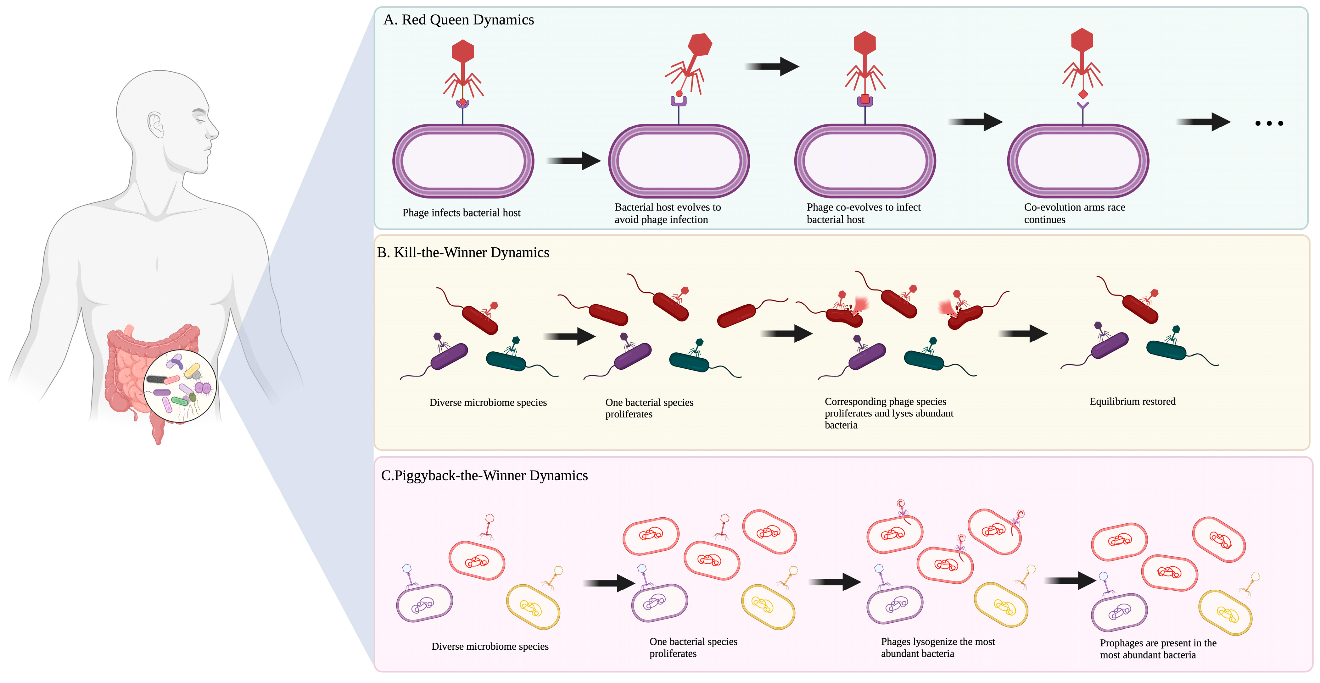 Microorganisms 11 02454 g001