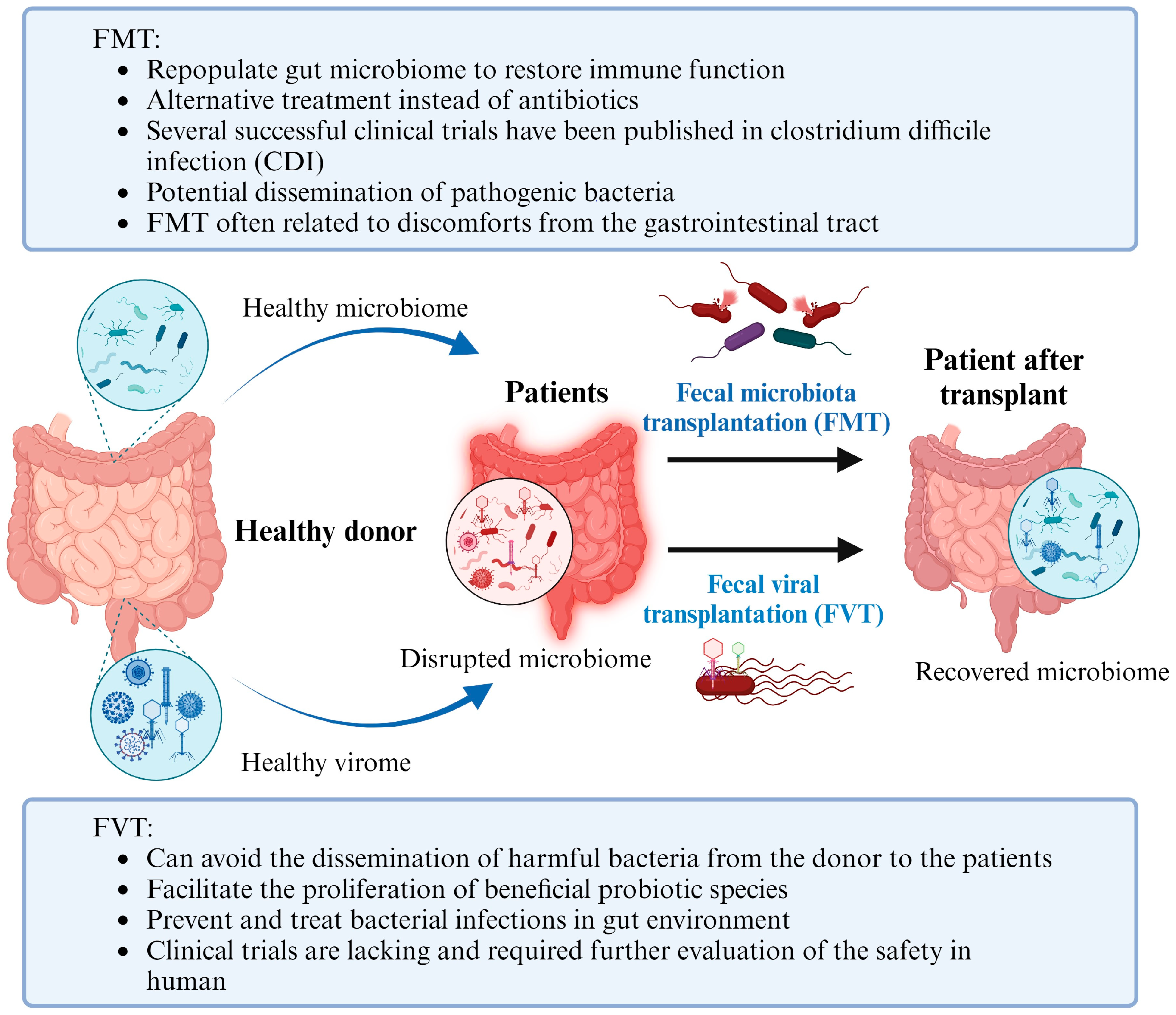 Microorganisms 11 02454 g003