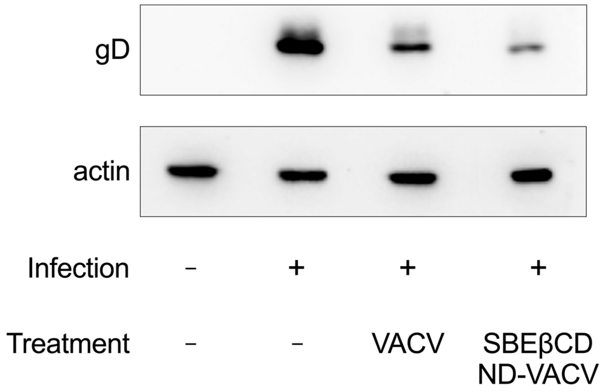 Microorganisms 11 02460 g004