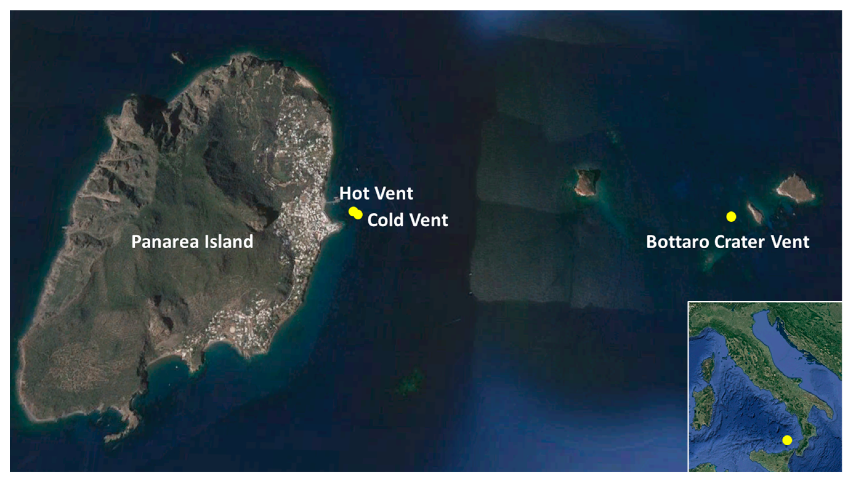 Microorganisms 11 02464 g001