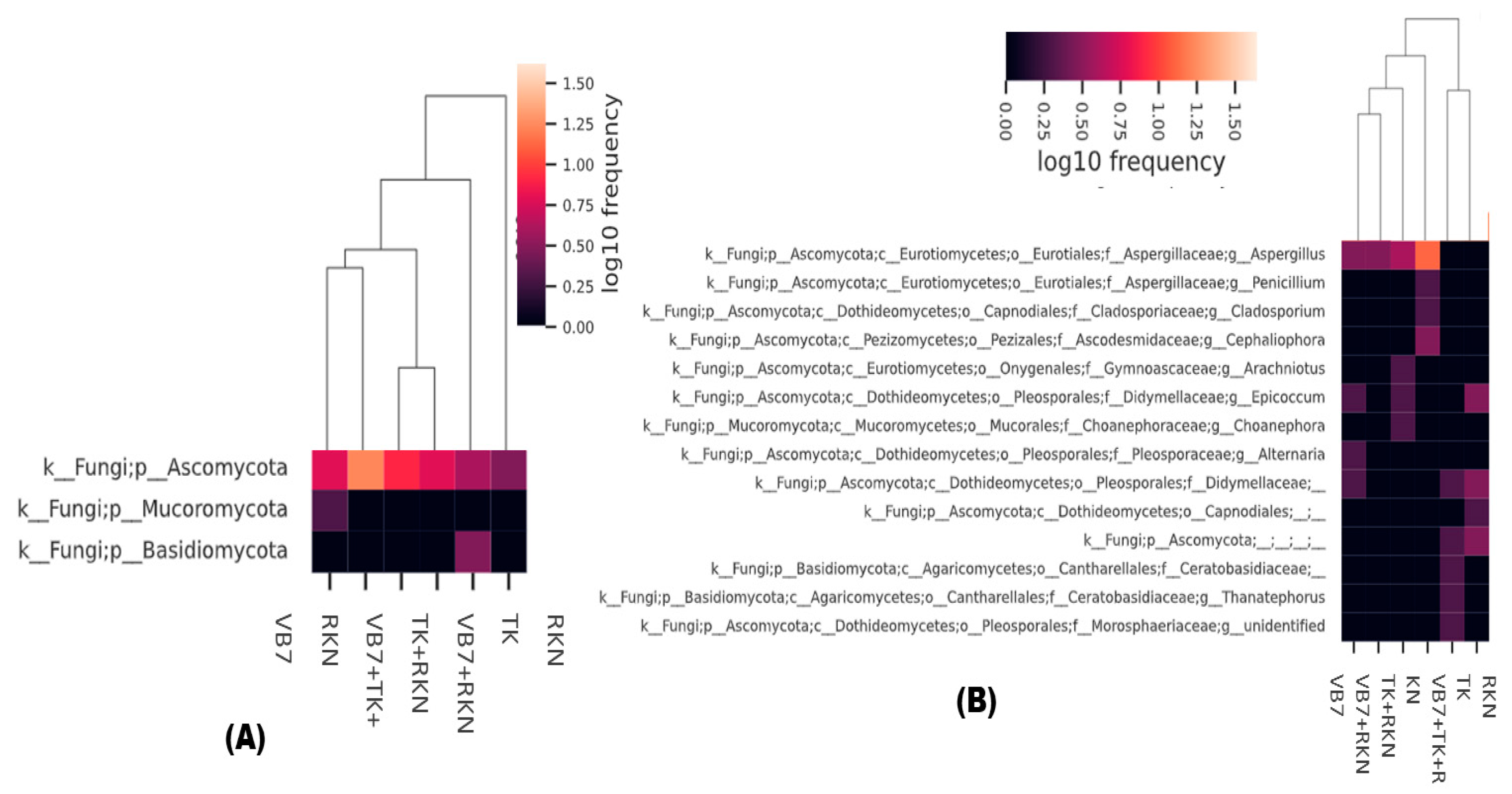 Microorganisms 11 02467 g003