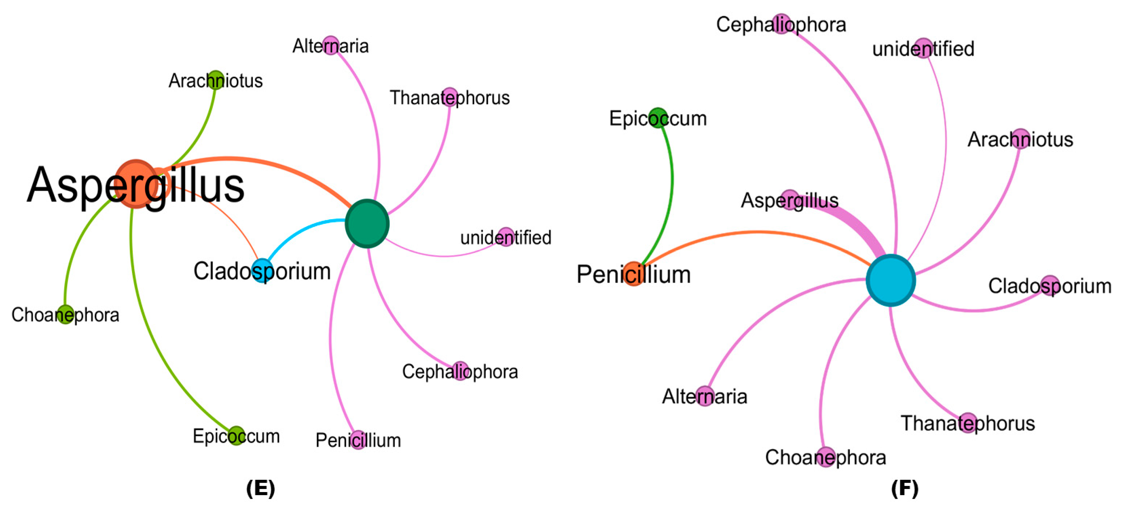 Microorganisms 11 02467 g007b
