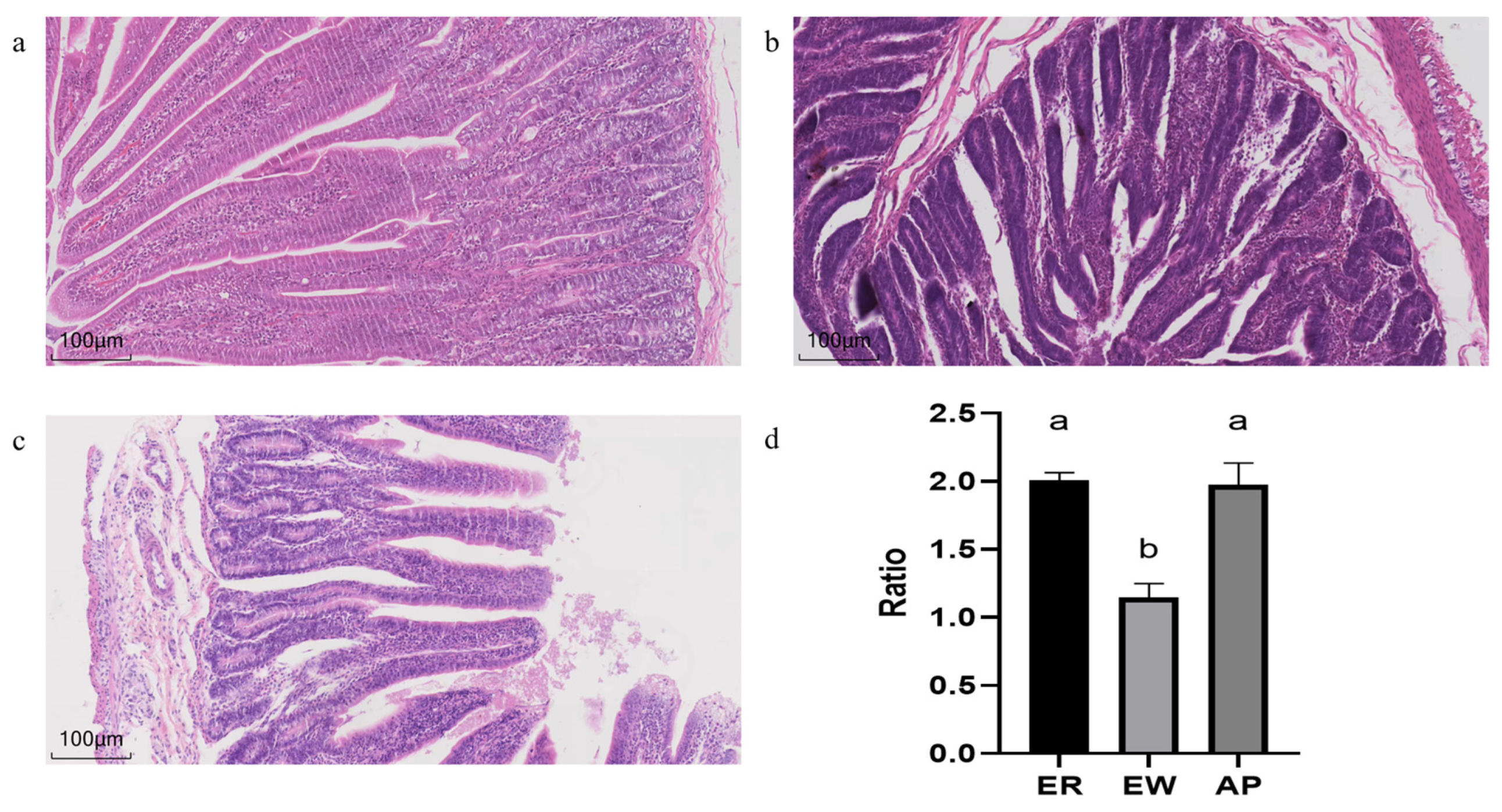 Microorganisms 11 02472 g001