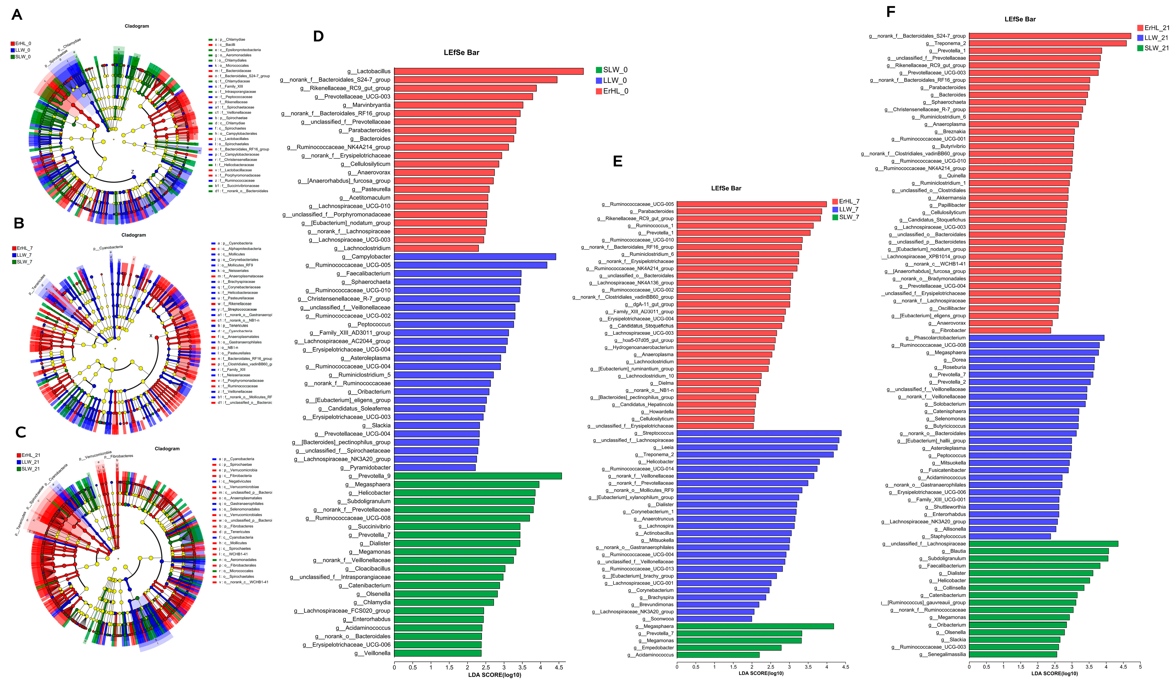 Microorganisms 11 02474 g005