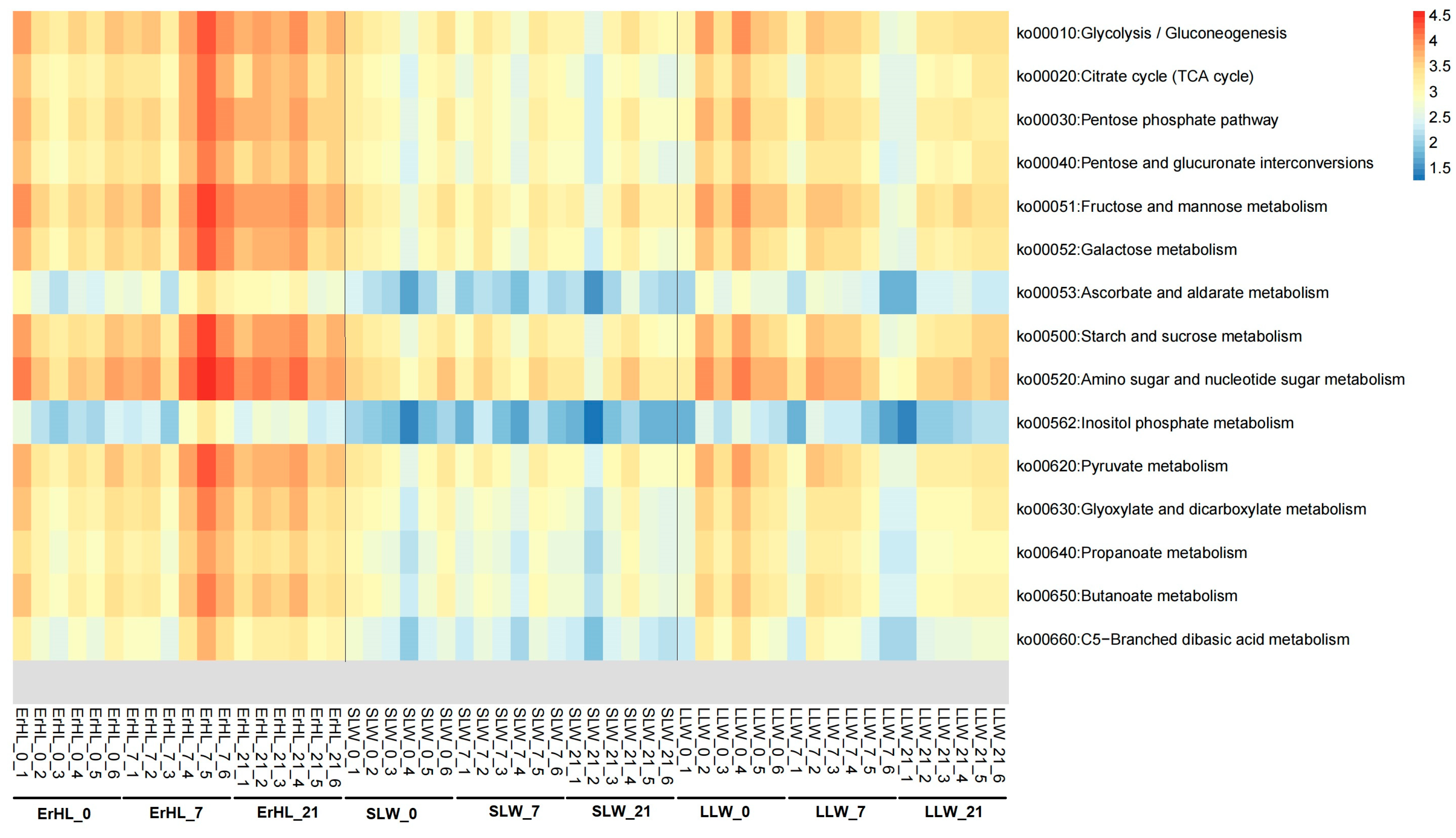 Microorganisms 11 02474 g007