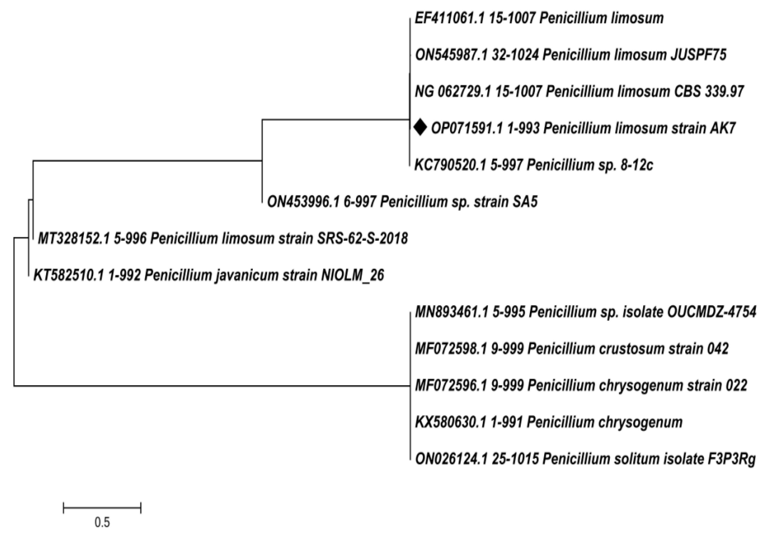 Microorganisms 11 02480 g003