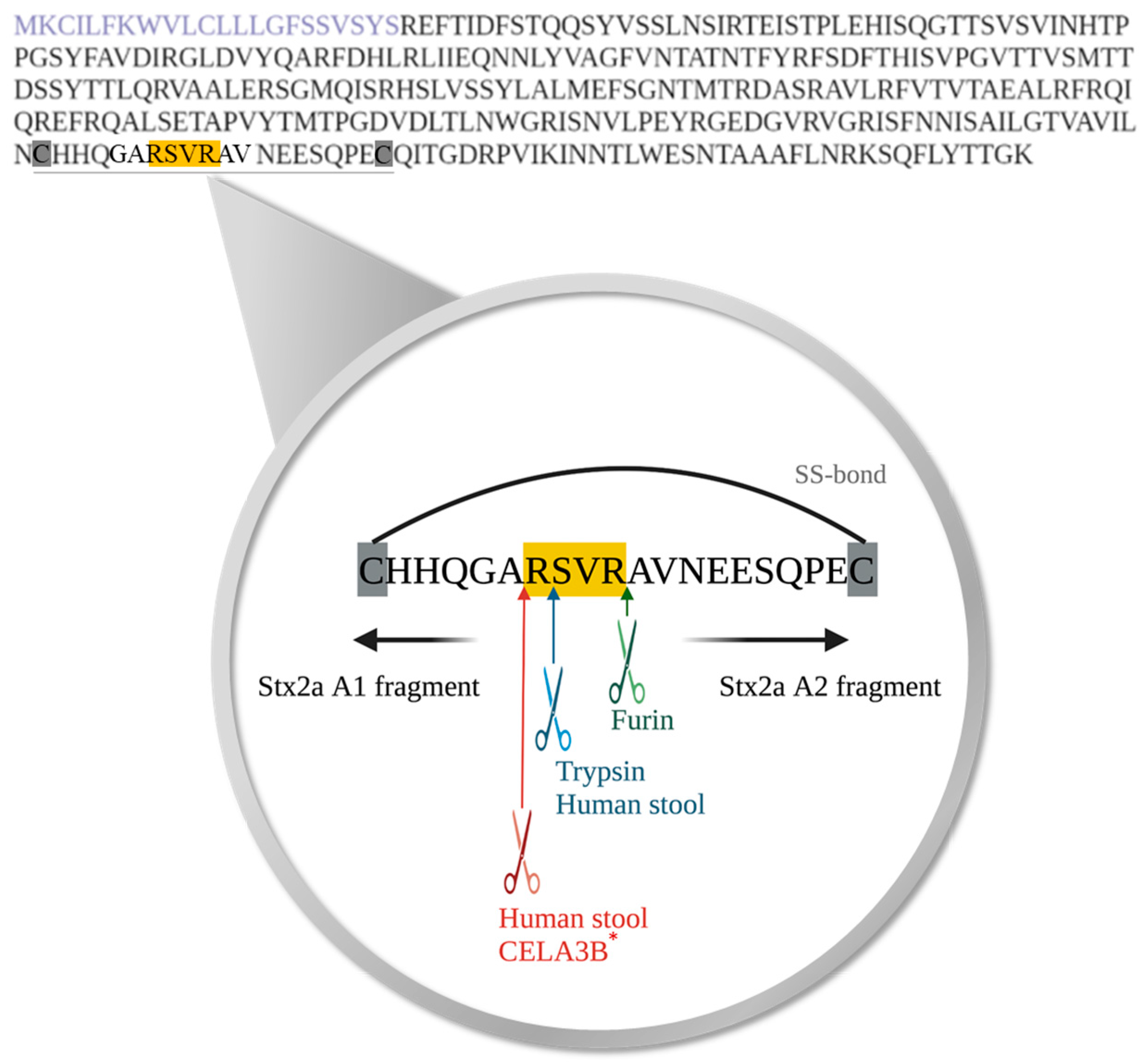 Microorganisms 11 02487 g004