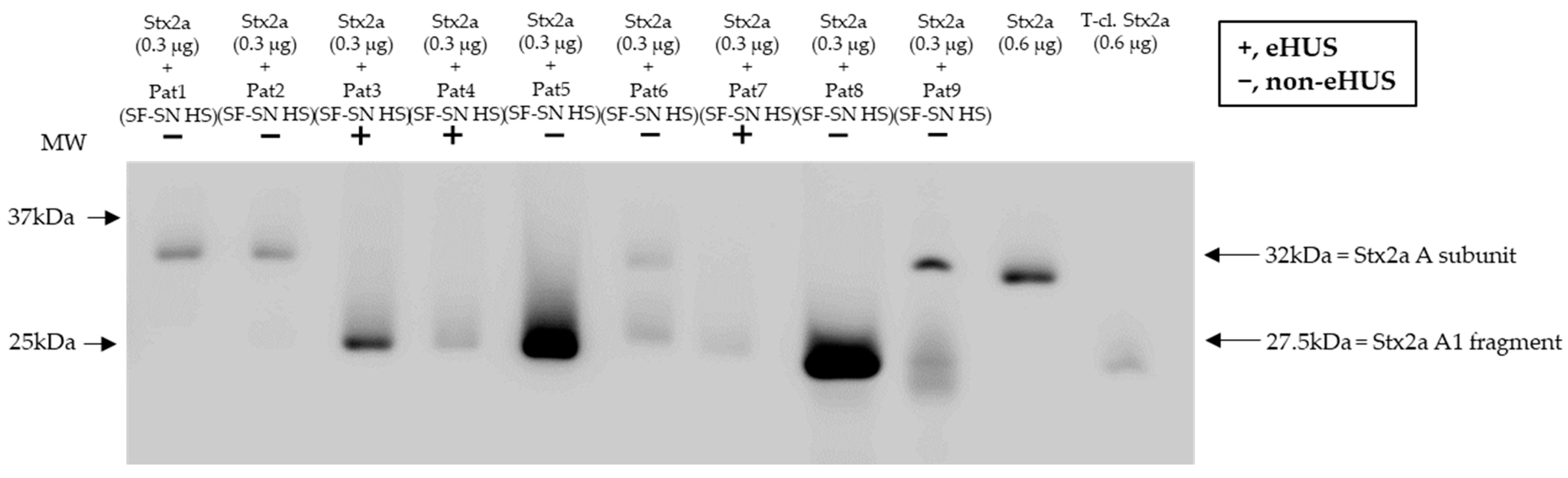 Microorganisms 11 02487 g007