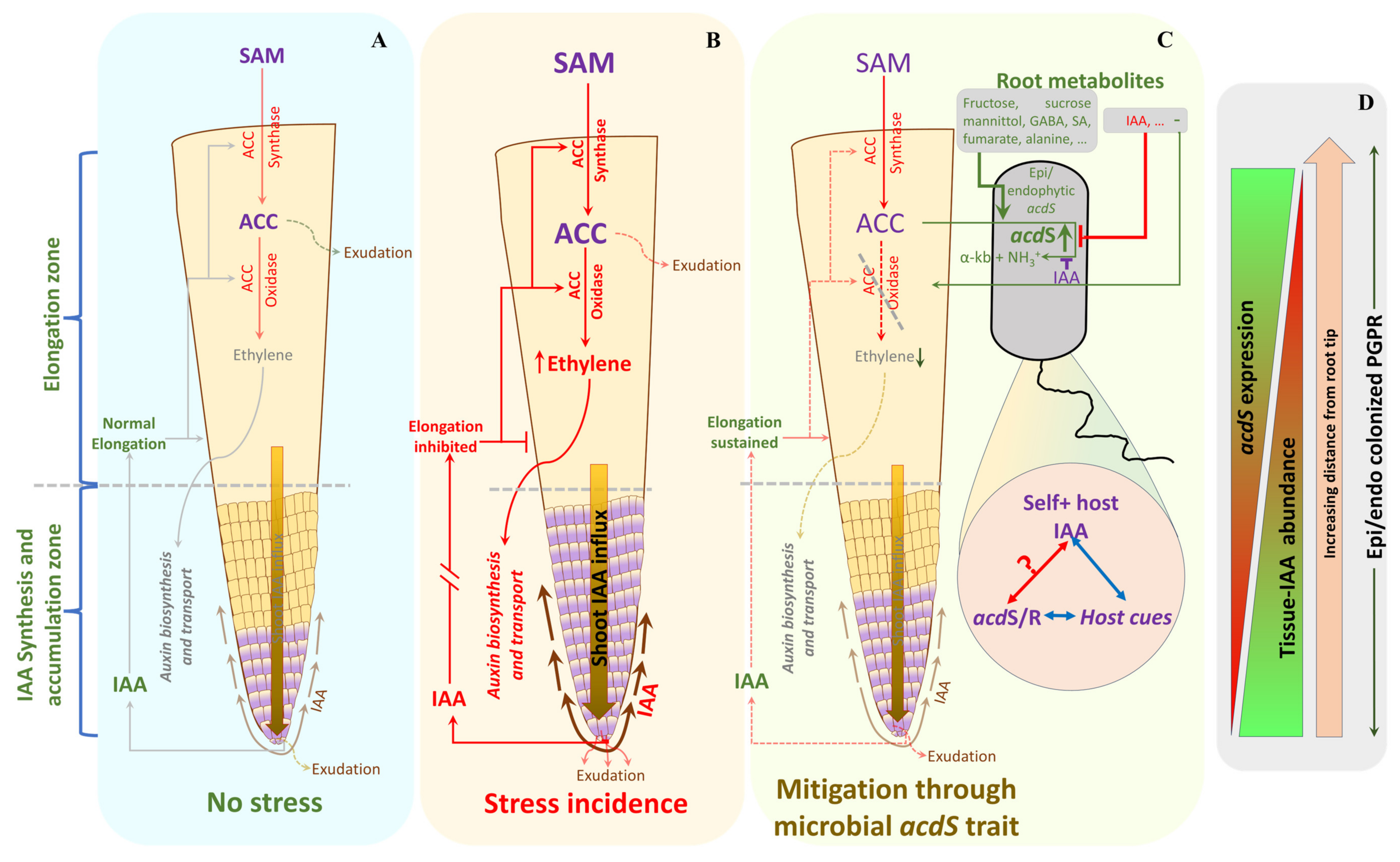 Microorganisms 11 02504 g007