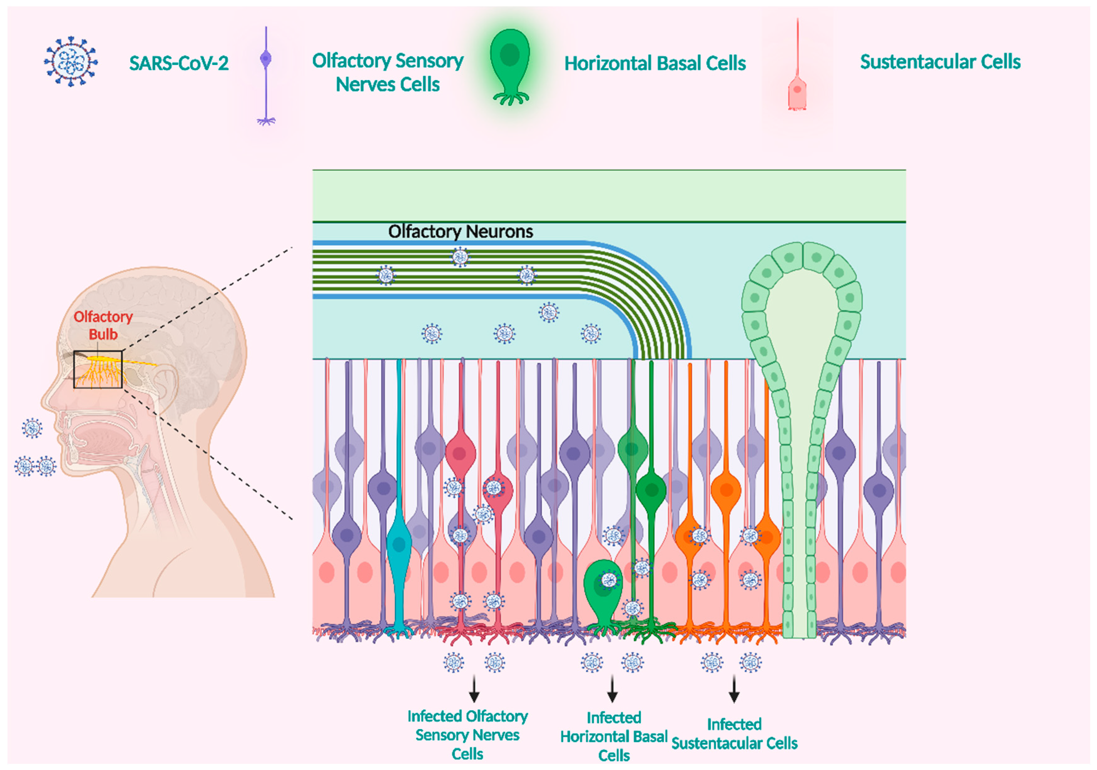 Microorganisms 11 02511 g001