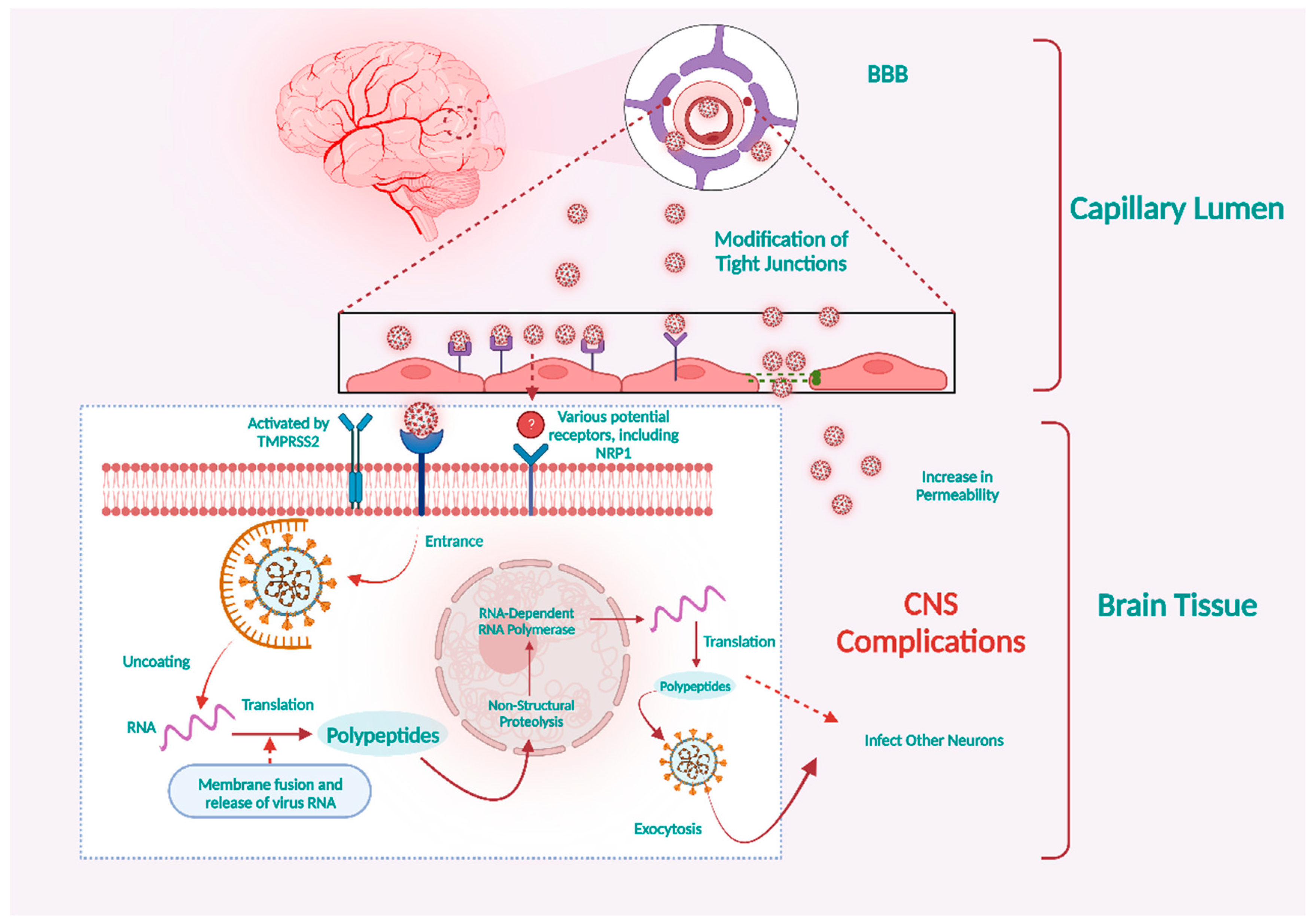 Microorganisms 11 02511 g002