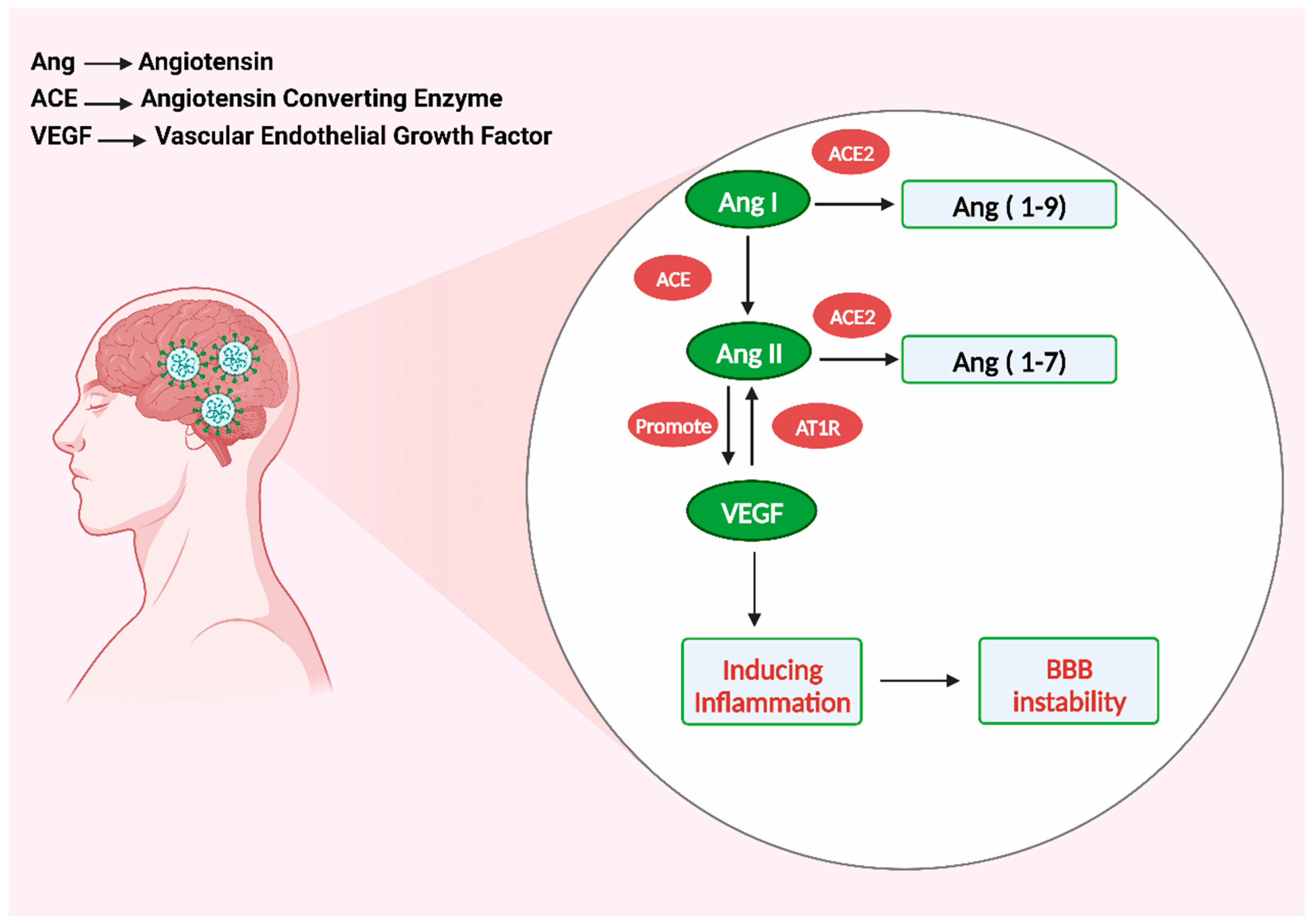 Microorganisms 11 02511 g004