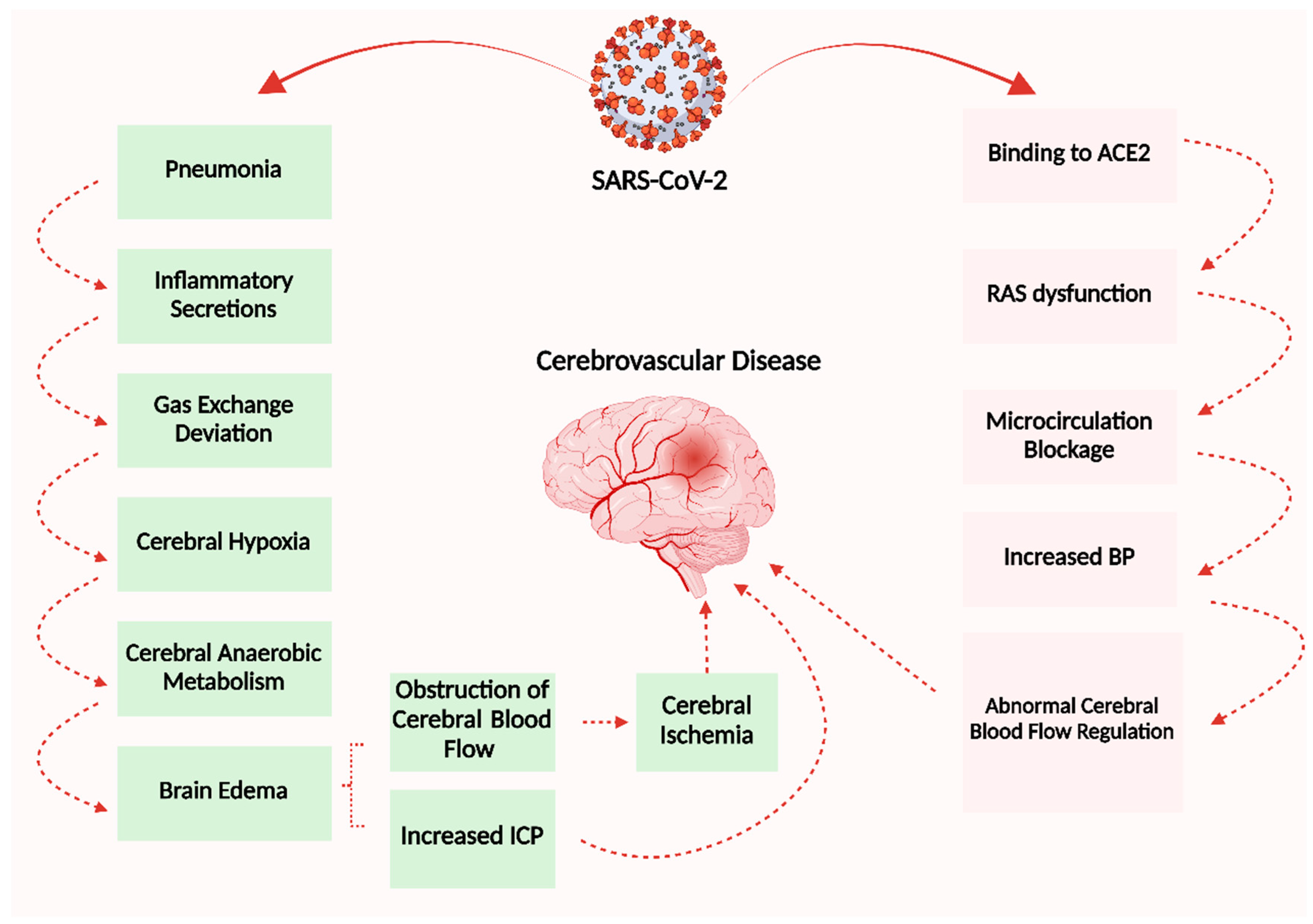 Microorganisms 11 02511 g007