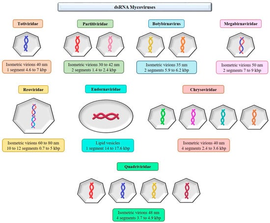 Microorganisms 11 02515 g0a2