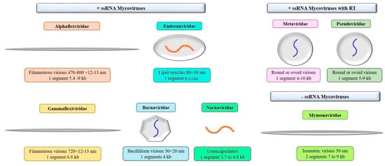 Microorganisms 11 02515 g0a3