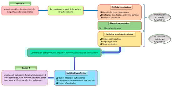 Microorganisms 11 02515 g0a4