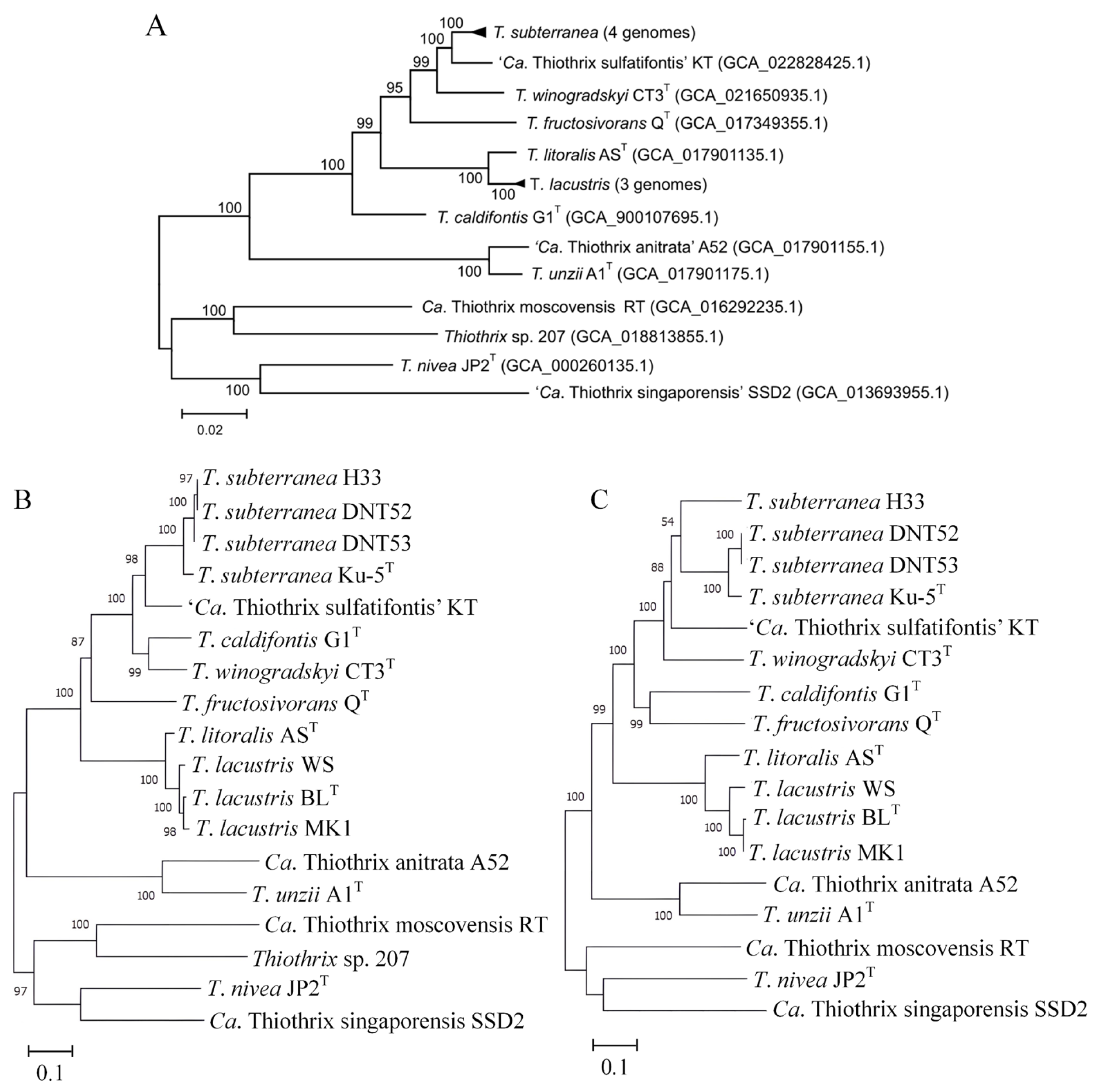 Microorganisms 11 02521 g002