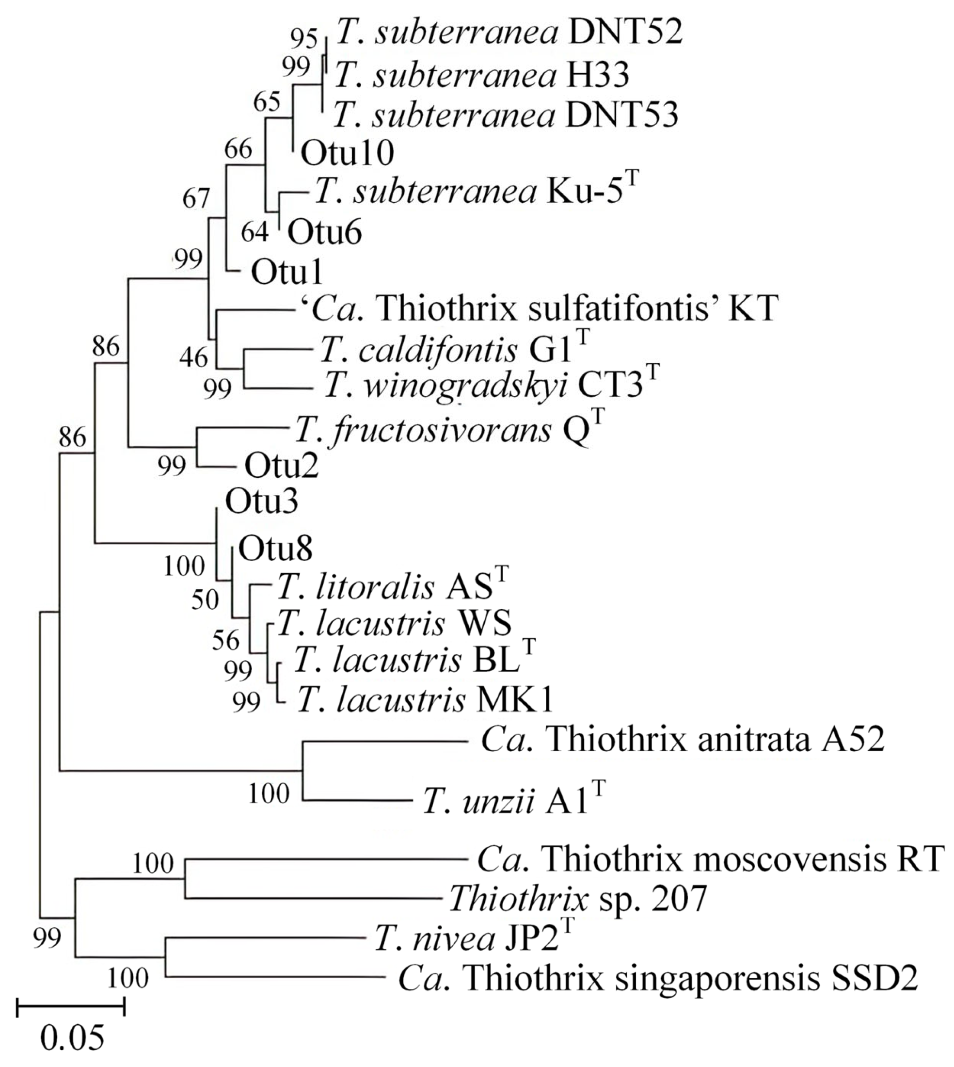 Microorganisms 11 02521 g005
