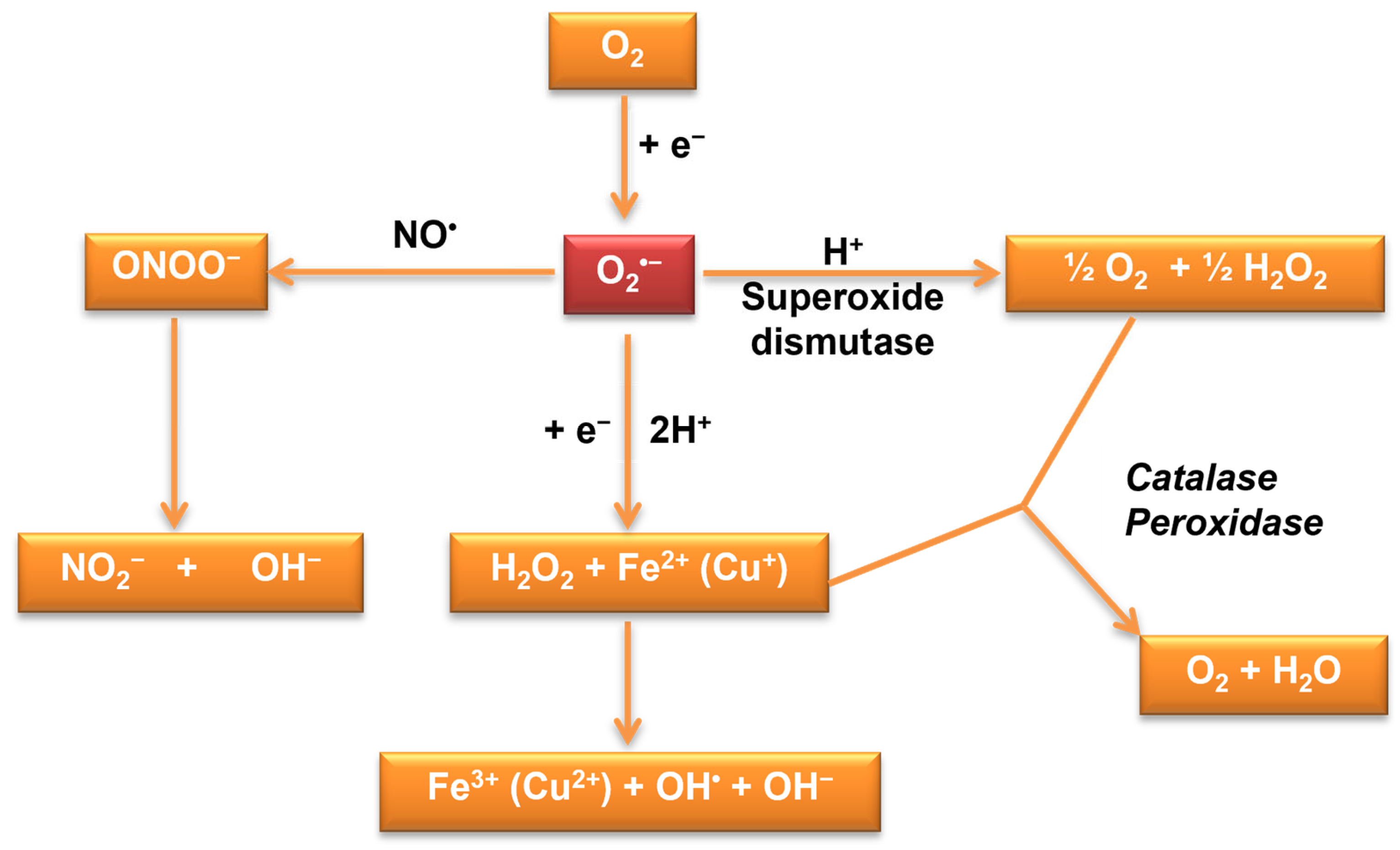 Microorganisms 11 02522 g002
