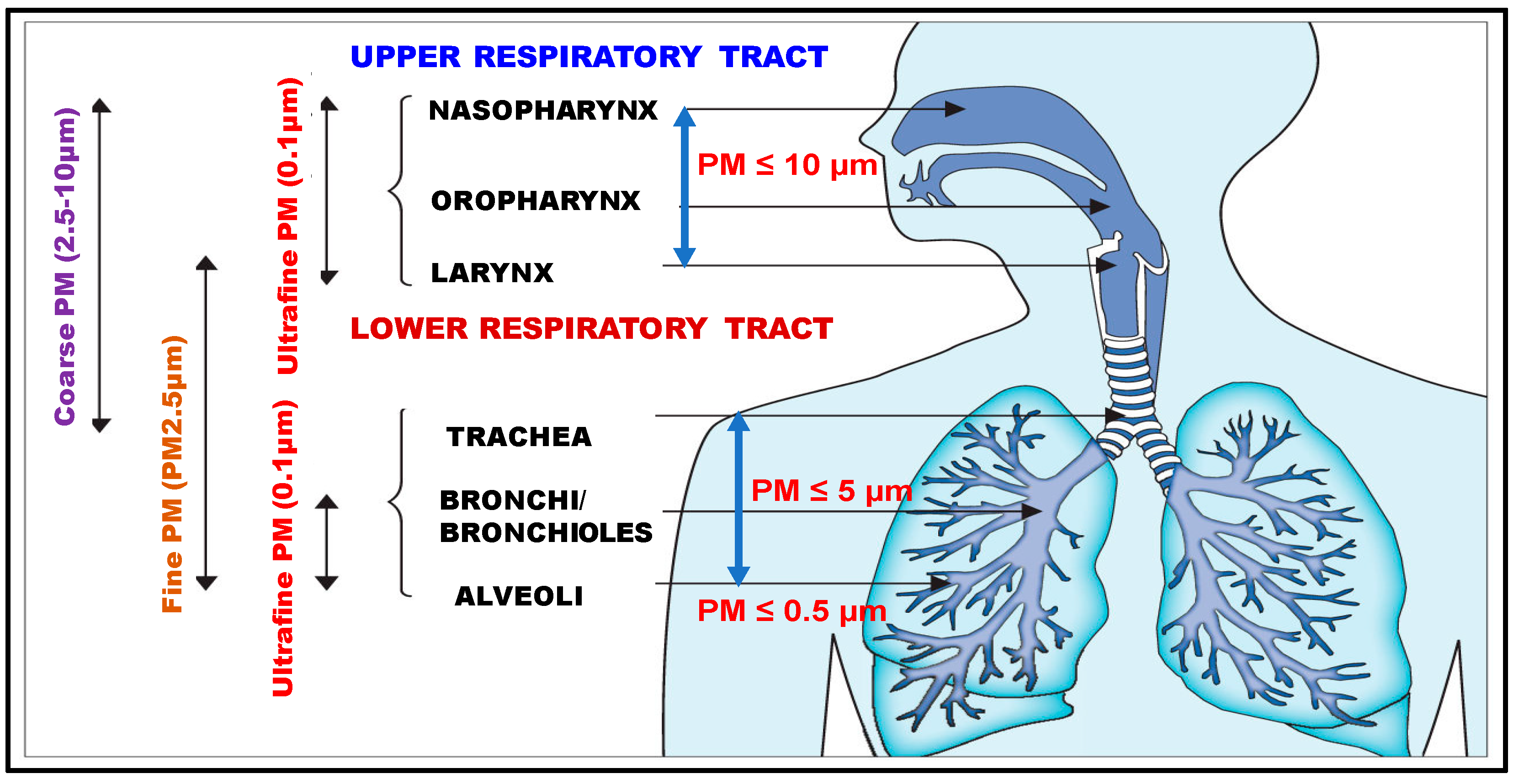 Microorganisms 11 02531 g002