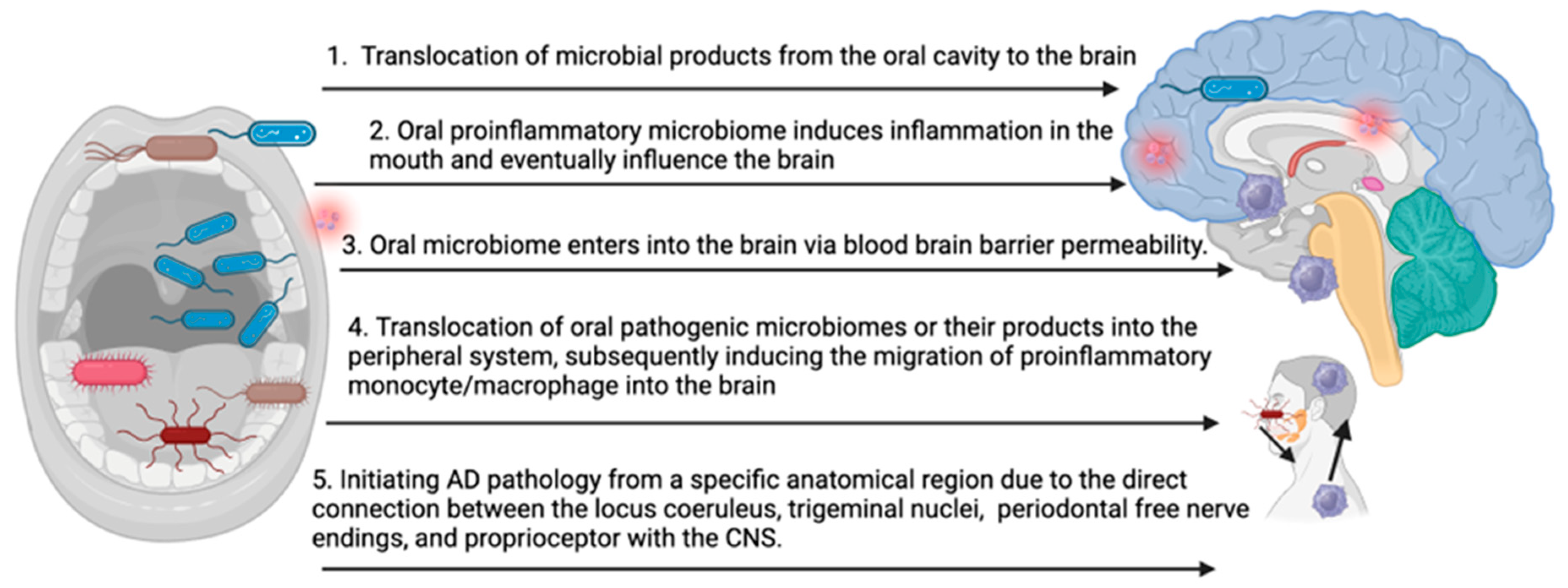 Microorganisms 11 02550 g001 Microorganisms 11 02550 g001