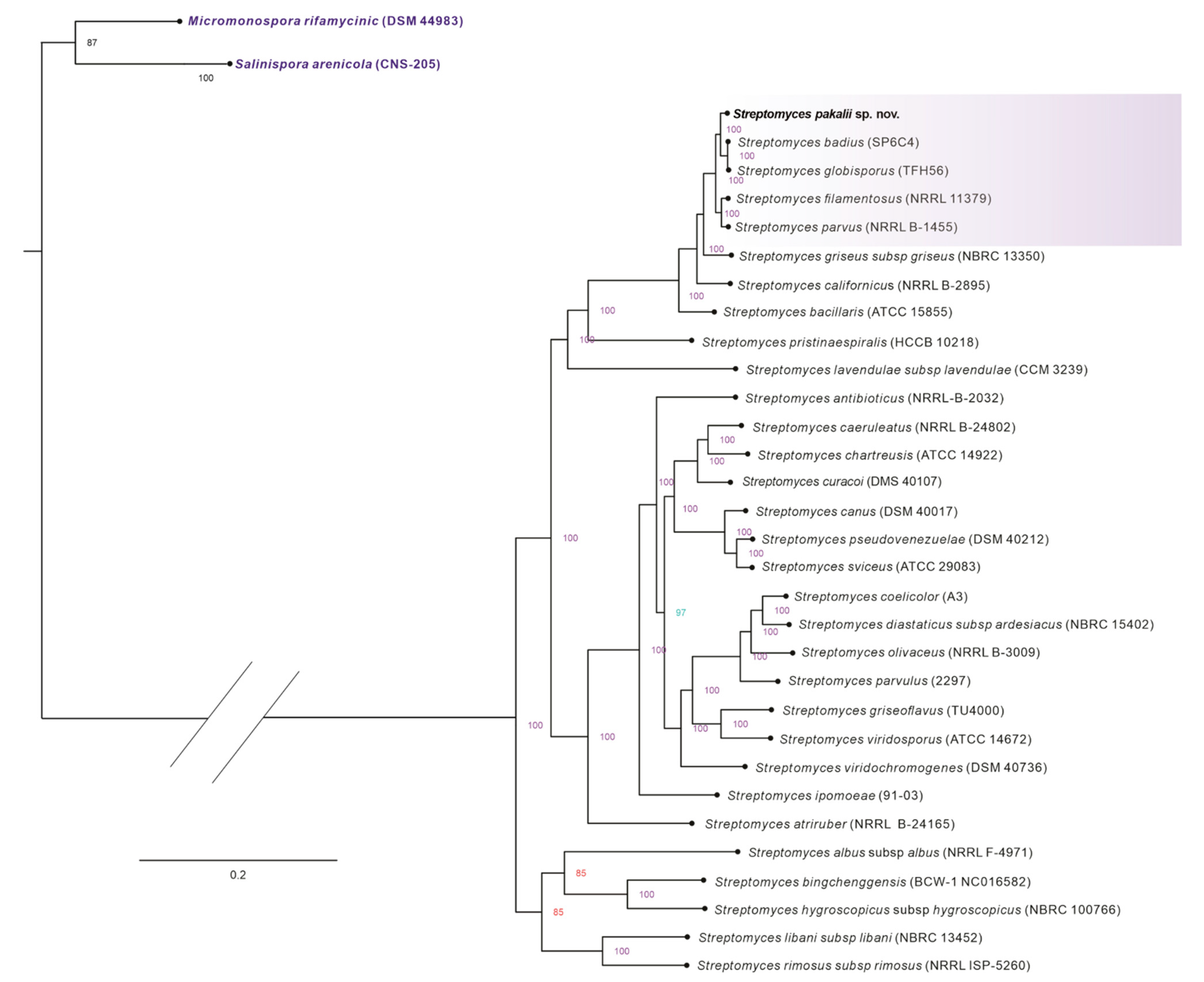 Microorganisms 11 02551 g004