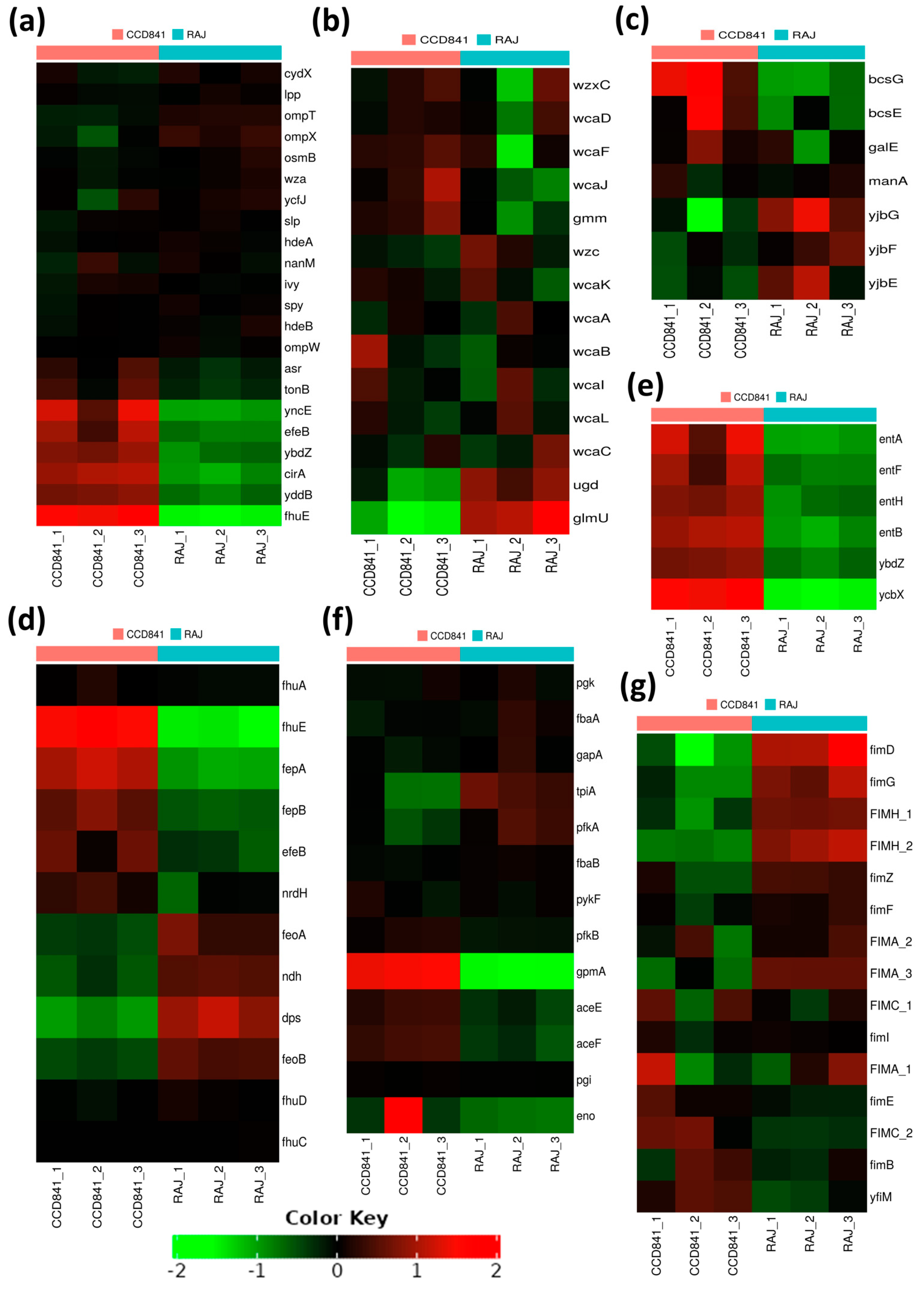 Microorganisms 11 02562 g005