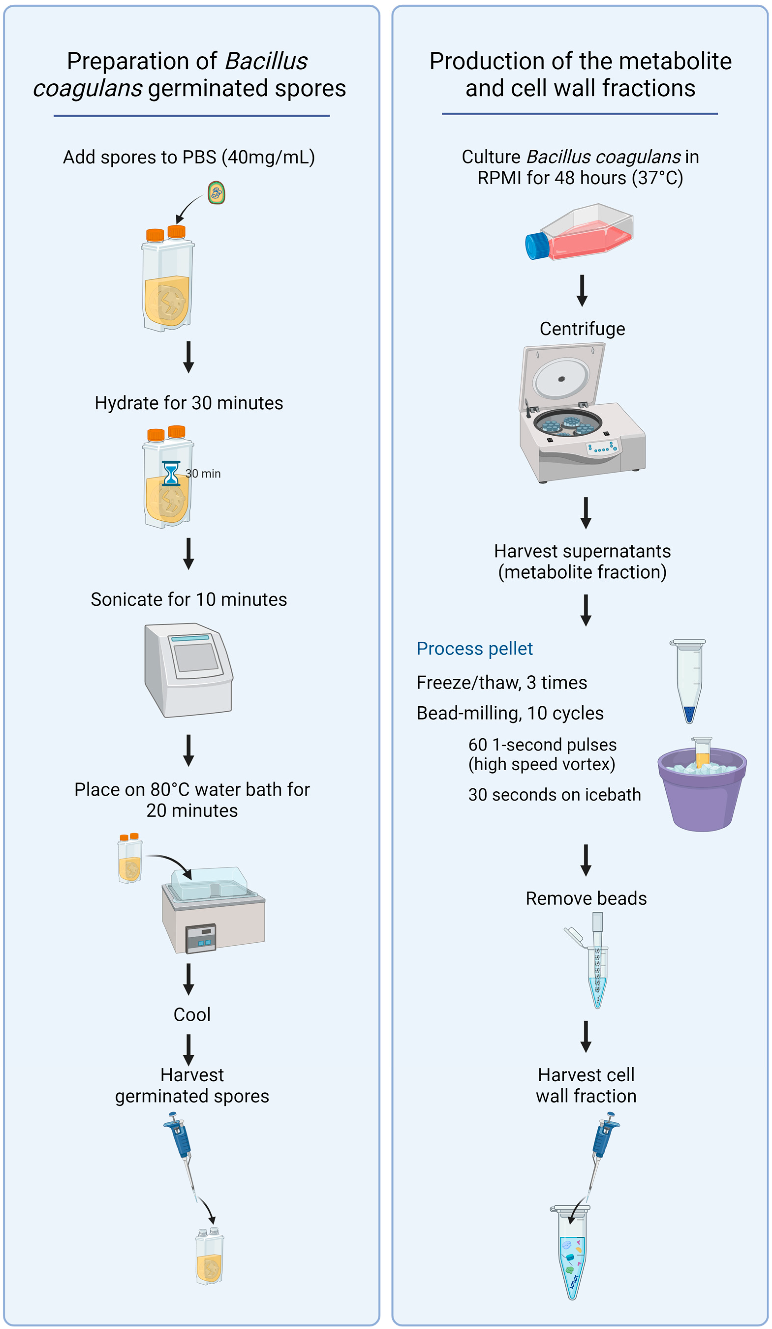 Microorganisms 11 02564 g001