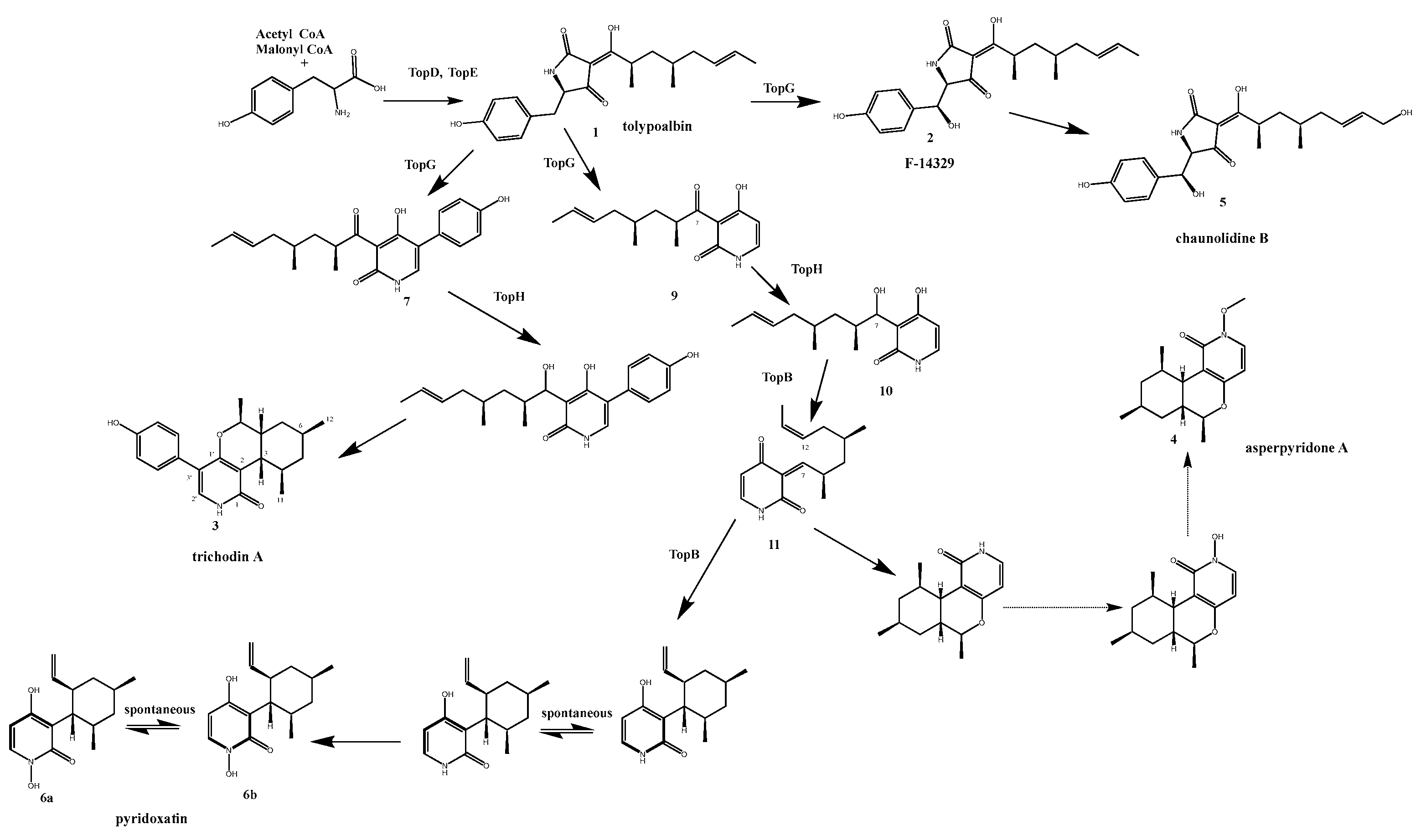 Microorganisms 11 02578 g007 Microorganisms 11 02578 g007