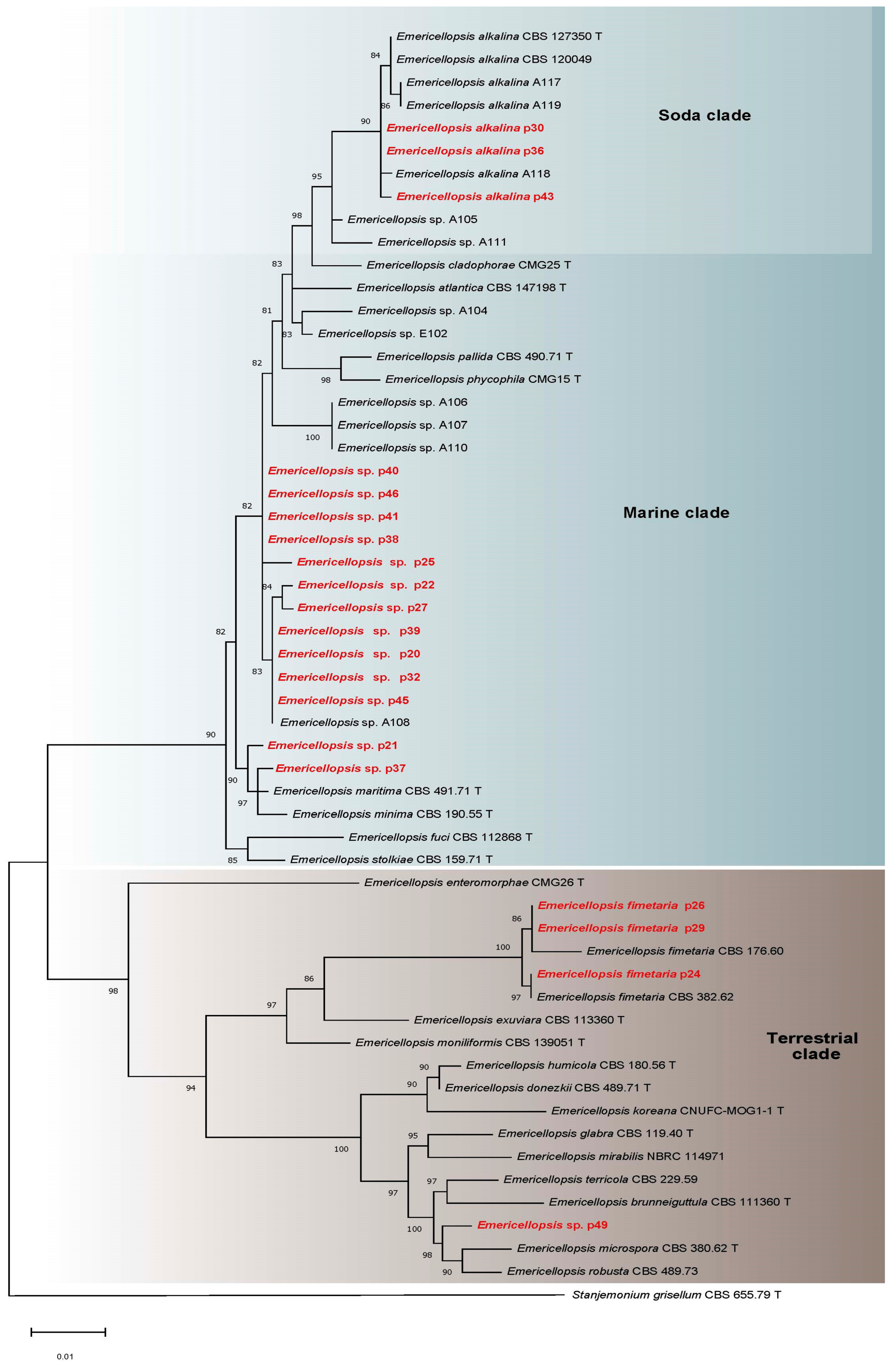 Microorganisms 11 02587 g003
