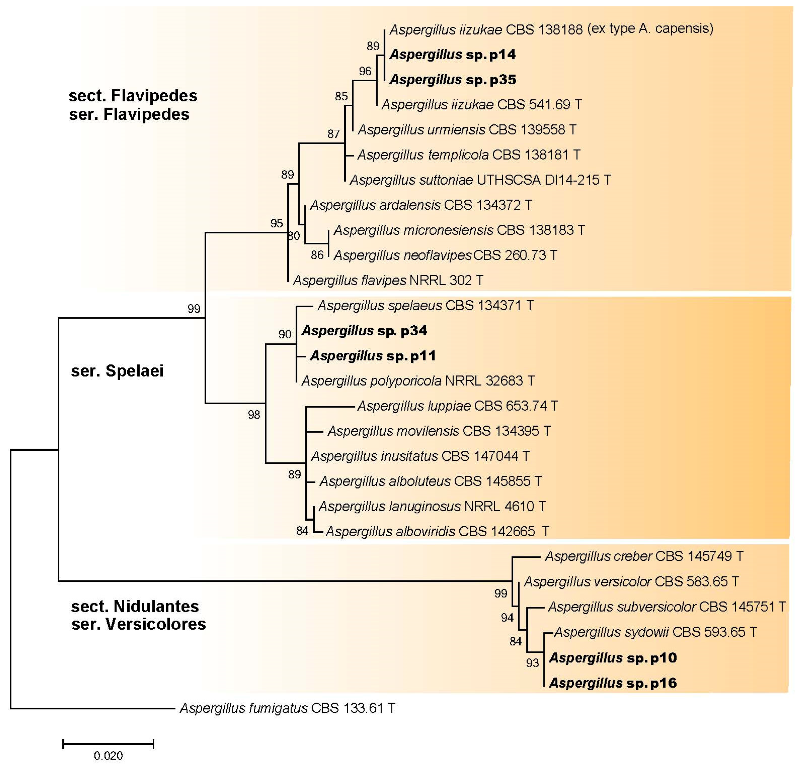 Microorganisms 11 02587 g007