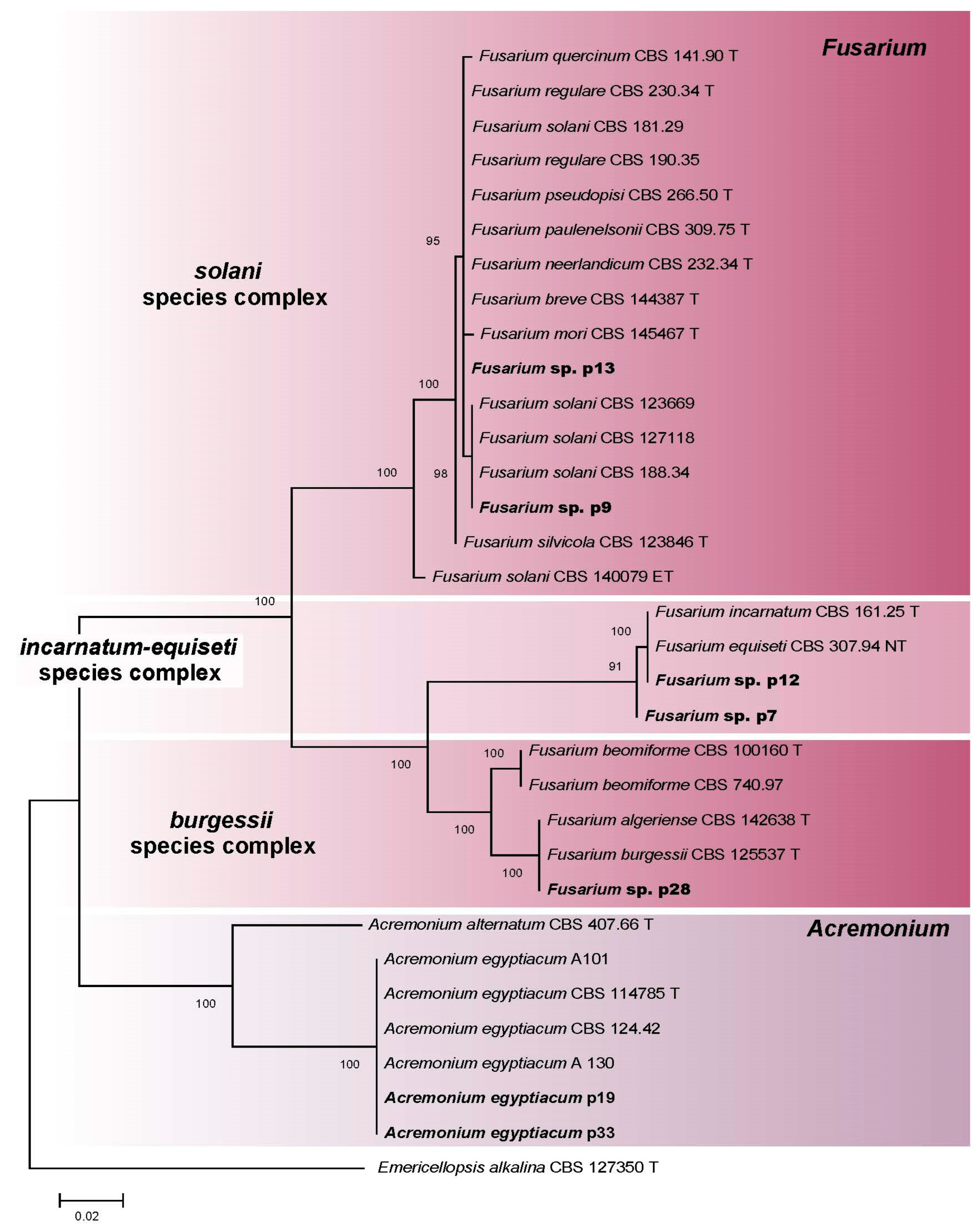 Microorganisms 11 02587 g011
