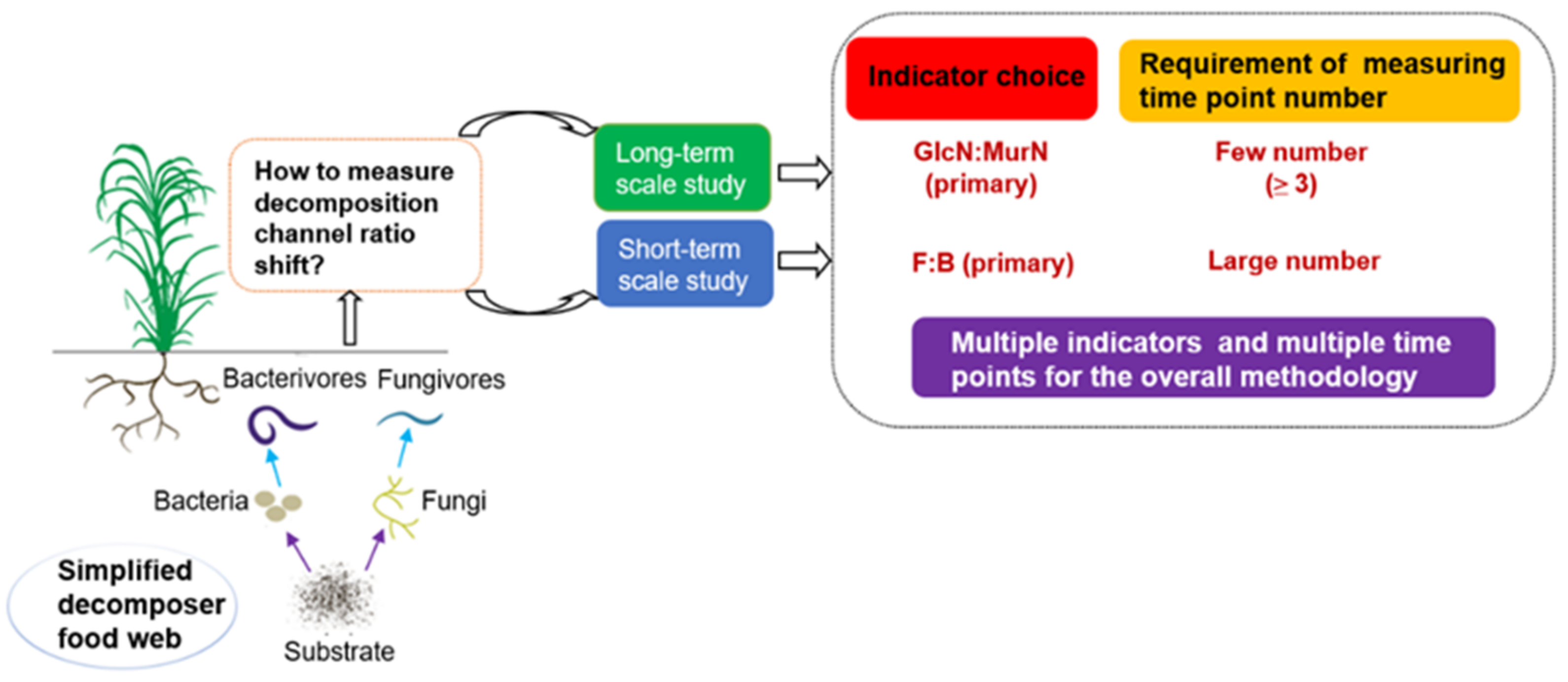 Microorganisms 11 02589 g005