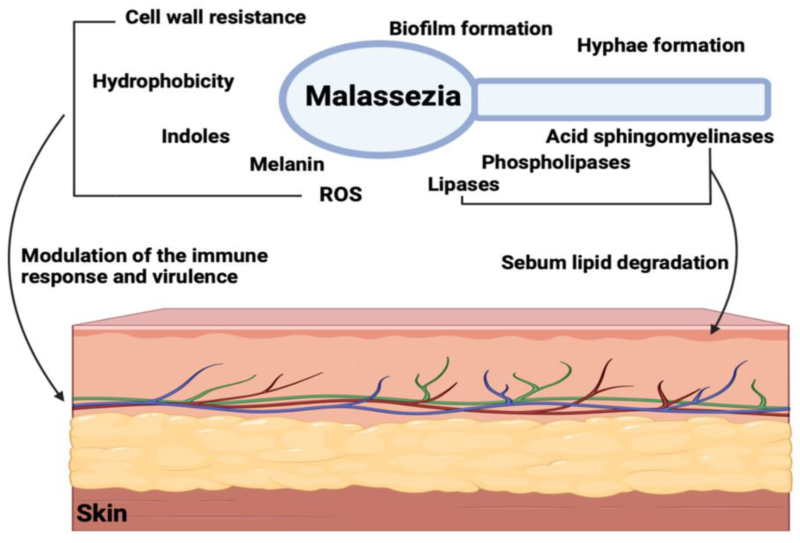 Microorganisms 11 02599 g001 Microorganisms 11 02599 g001