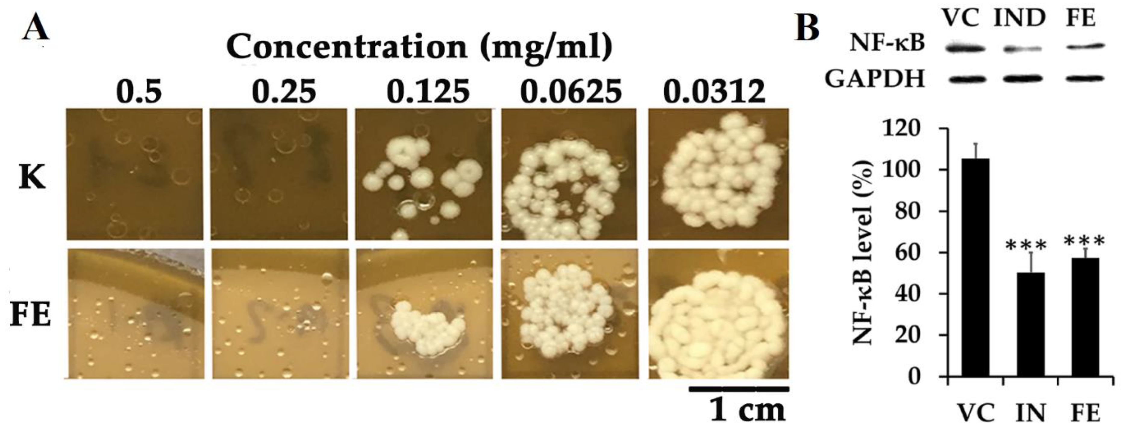 Microorganisms 11 02599 g017 Microorganisms 11 02599 g017