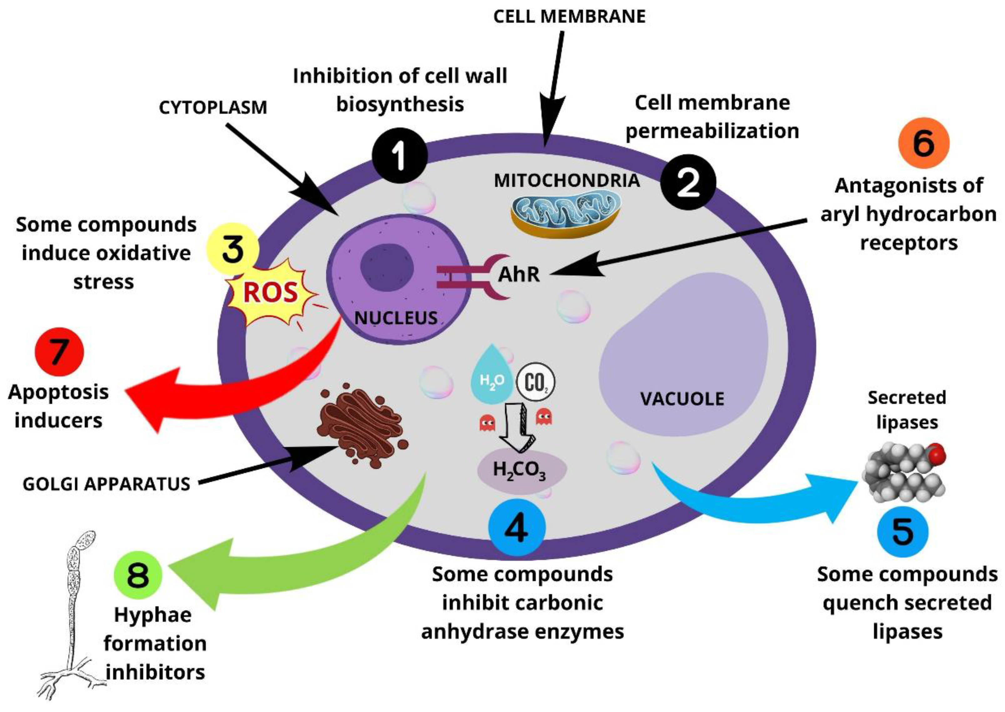Microorganisms 11 02599 sch001 Microorganisms 11 02599 sch001